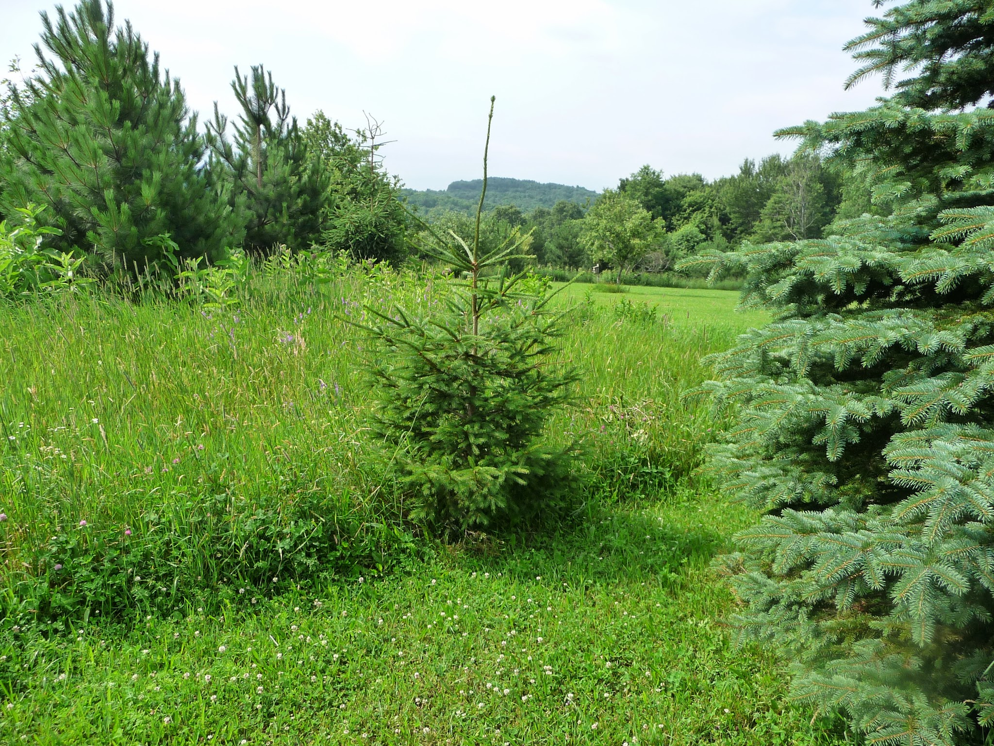 user avatar image for Mark Cleary