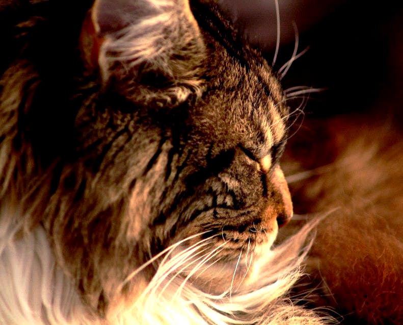 user avatar image for Sarah