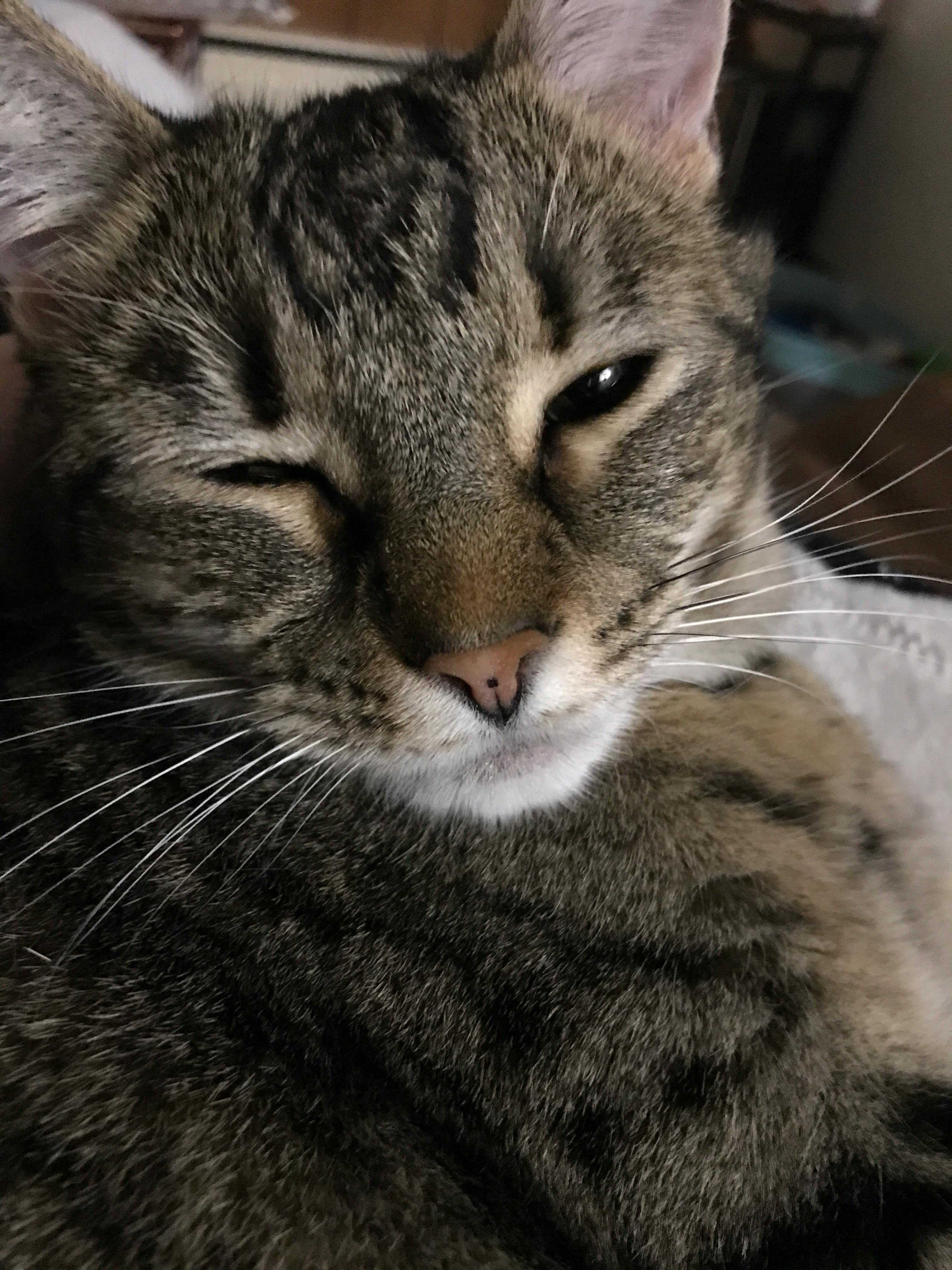 user avatar image for 3lysian