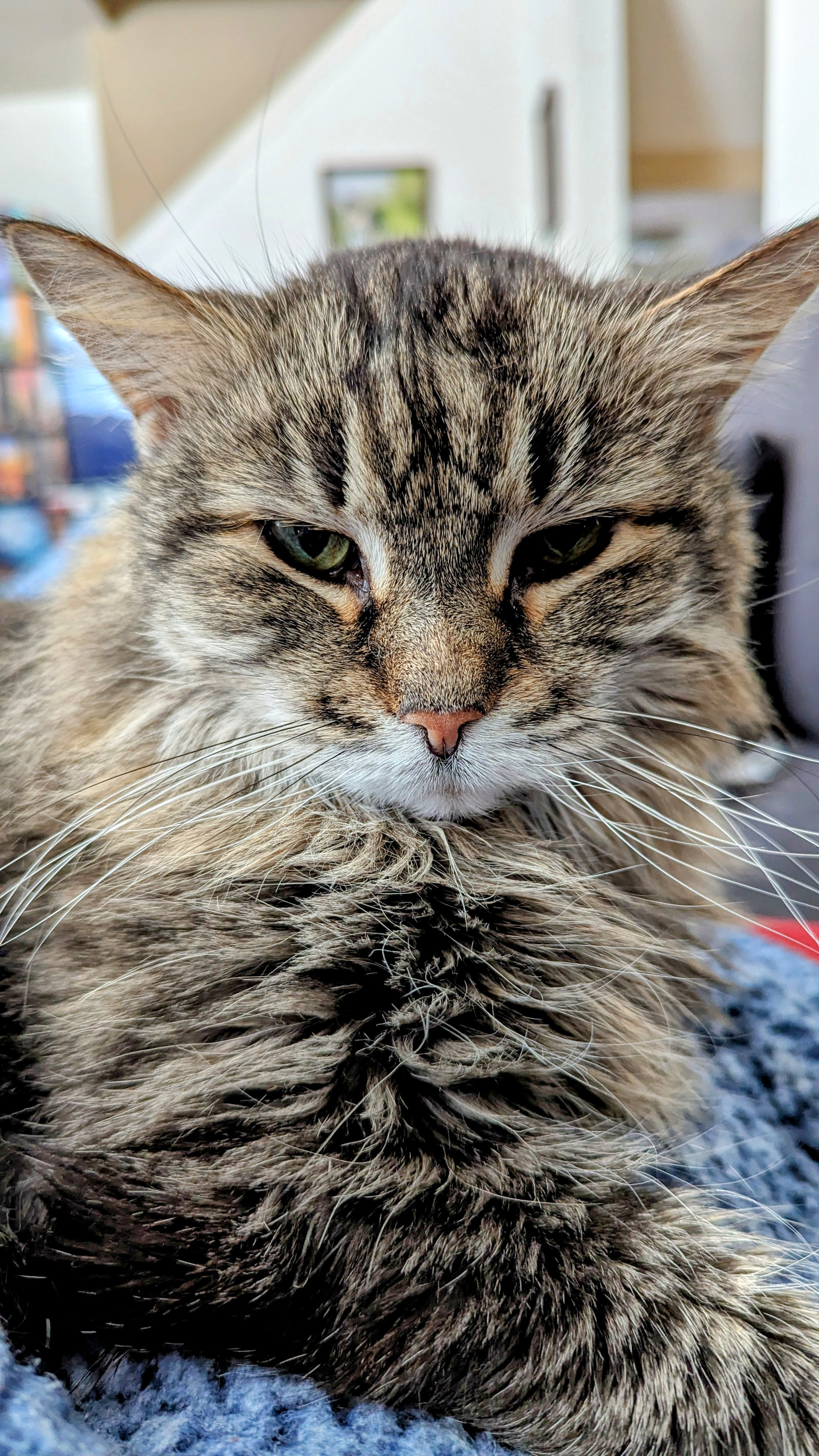 user avatar image for Michael Ouk