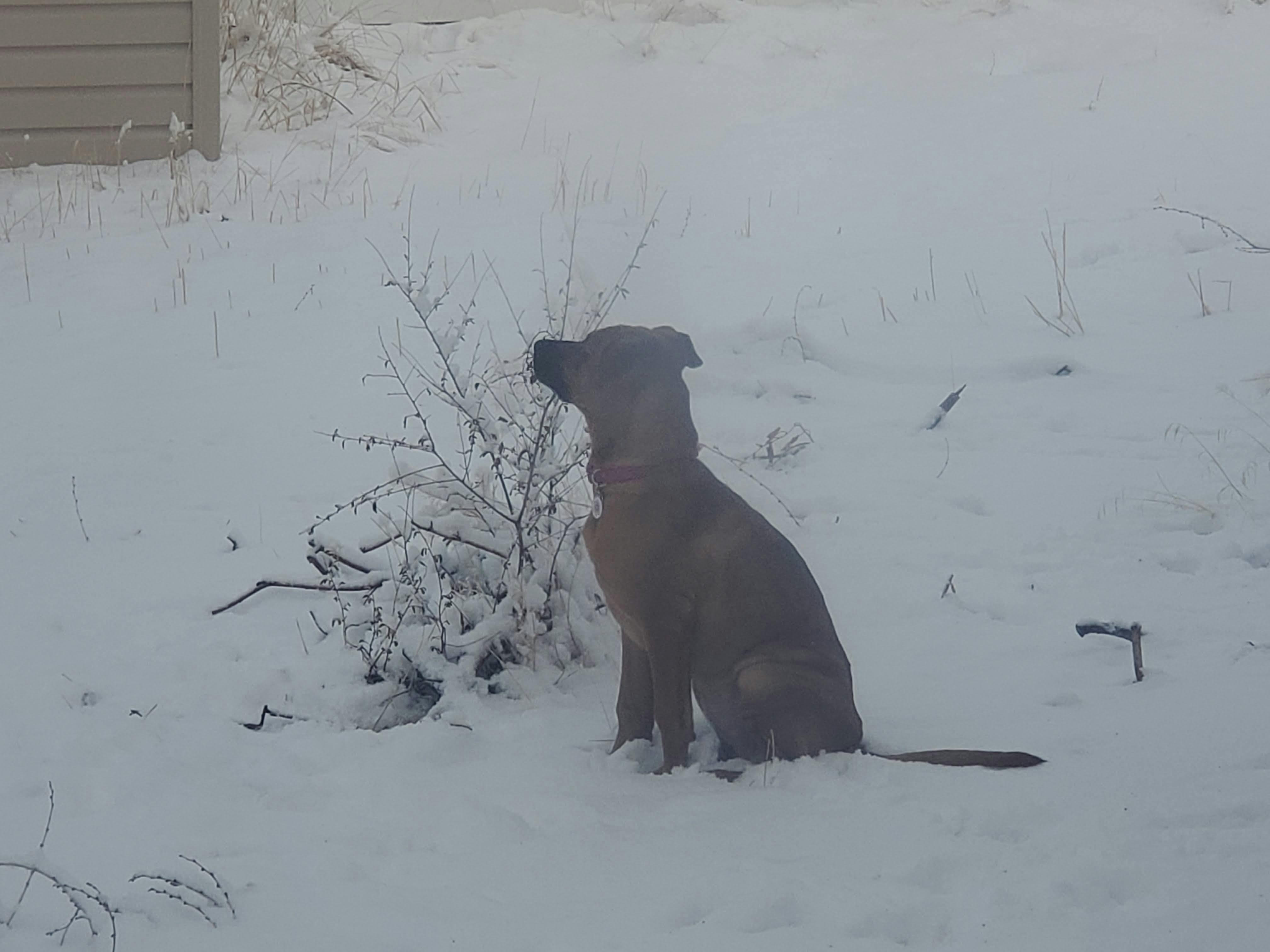 user avatar image for George Stratton