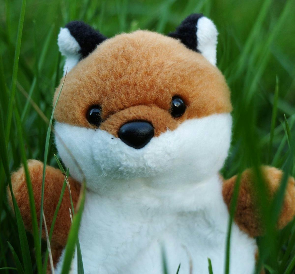 user avatar image for Syd