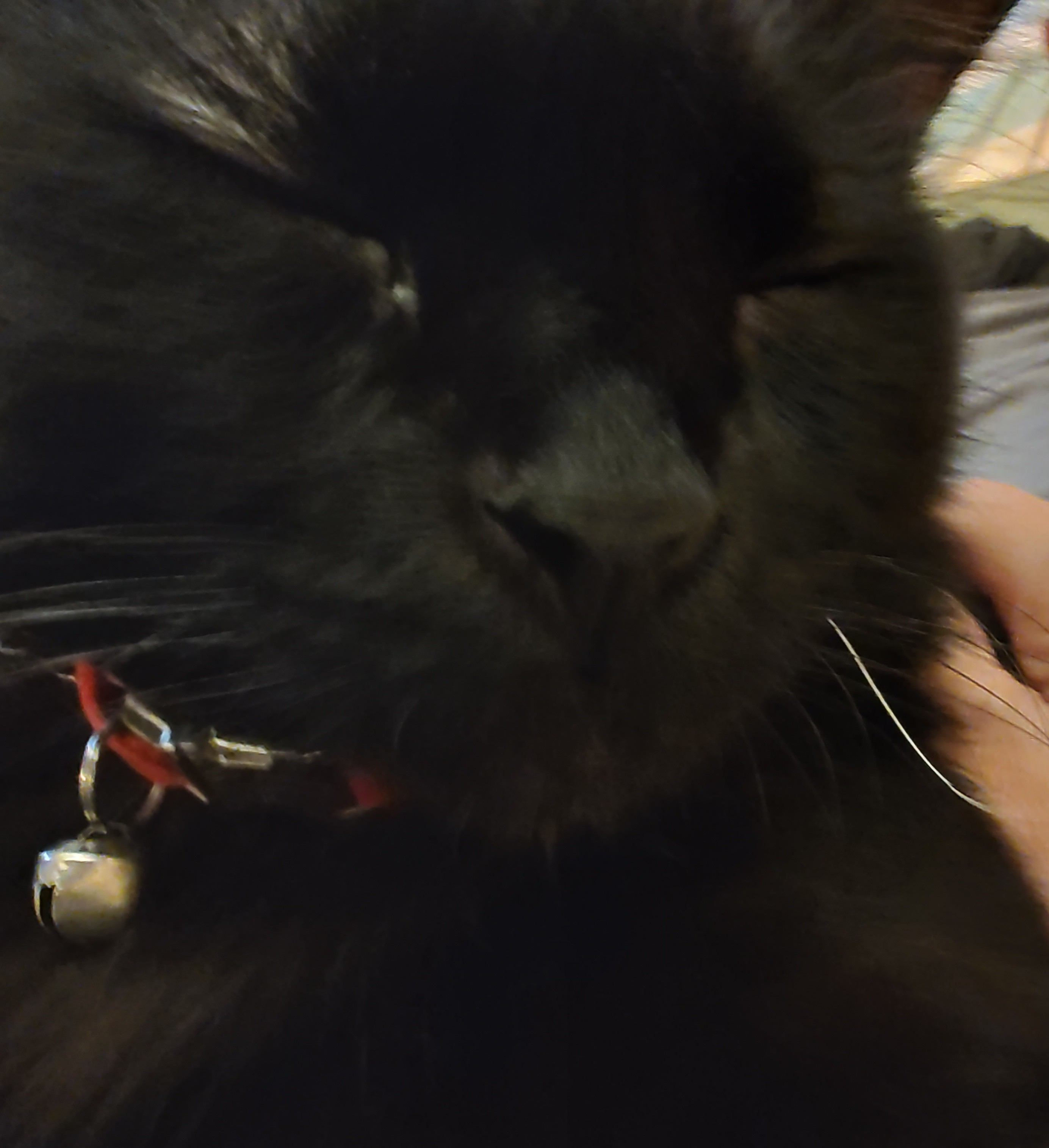 user avatar image for AmyVoce