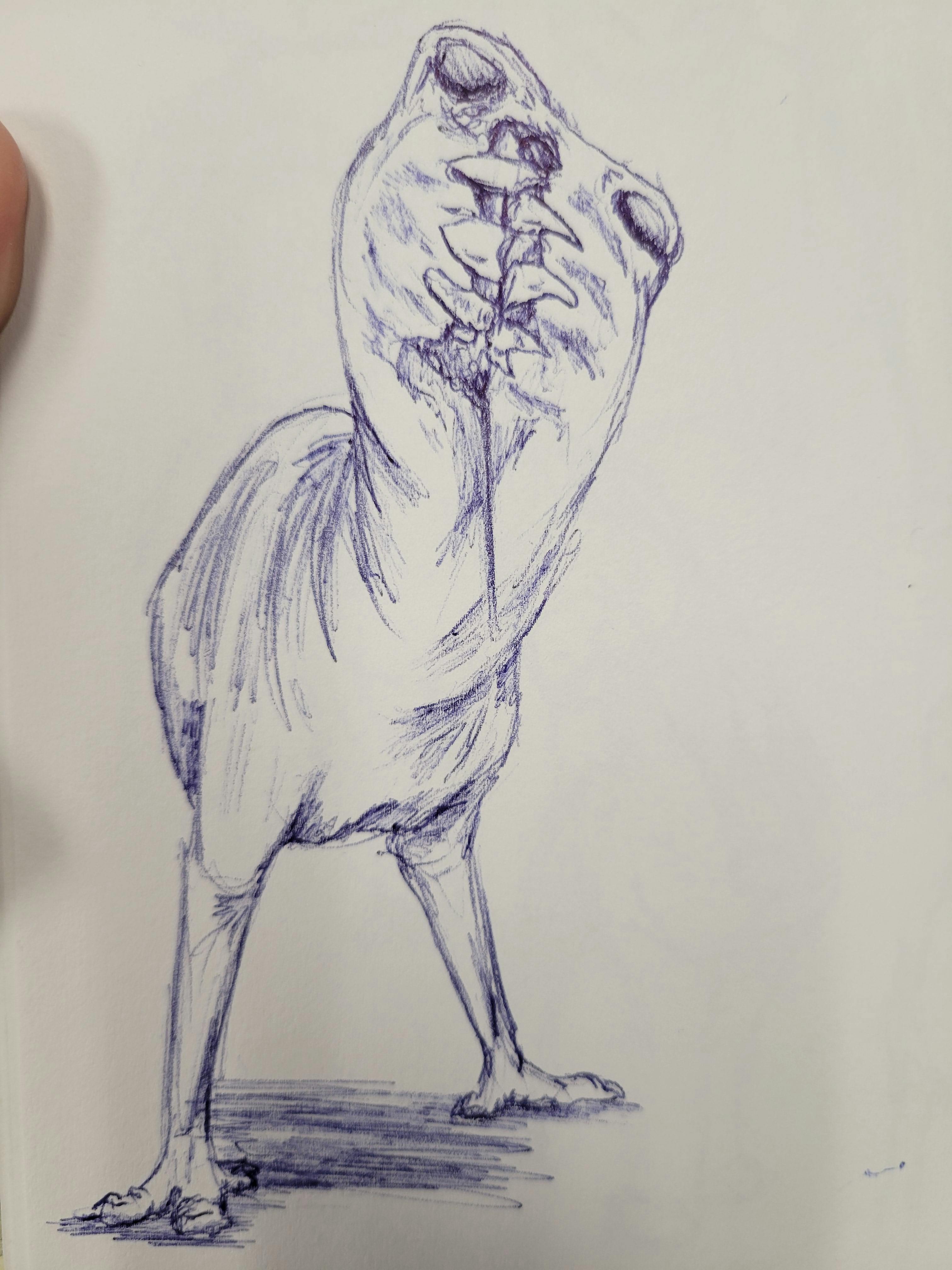 user avatar image for Heidi