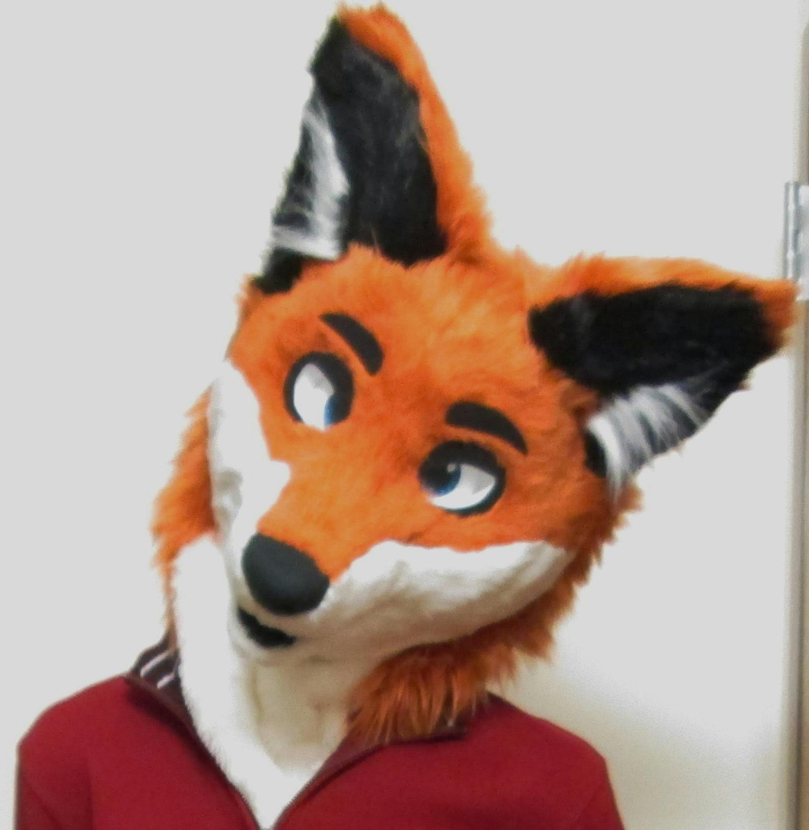 user avatar image for Angus Cormac