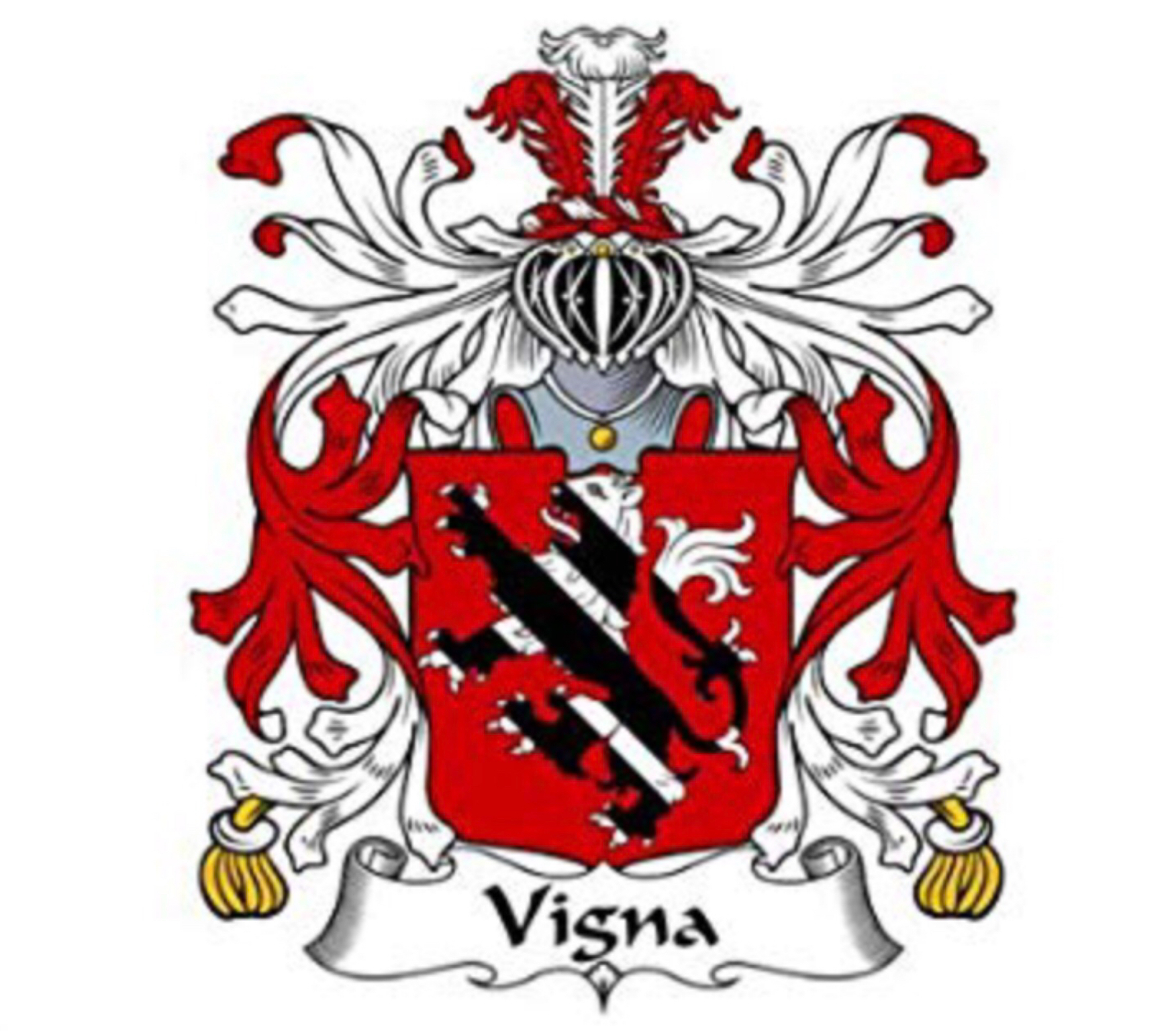 user avatar image for Vignassi