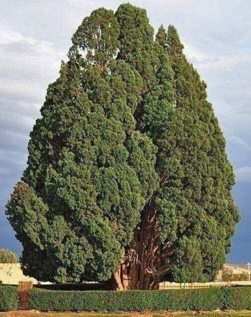 user avatar image for Bo