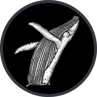 user avatar image for jonaandtheWhale
