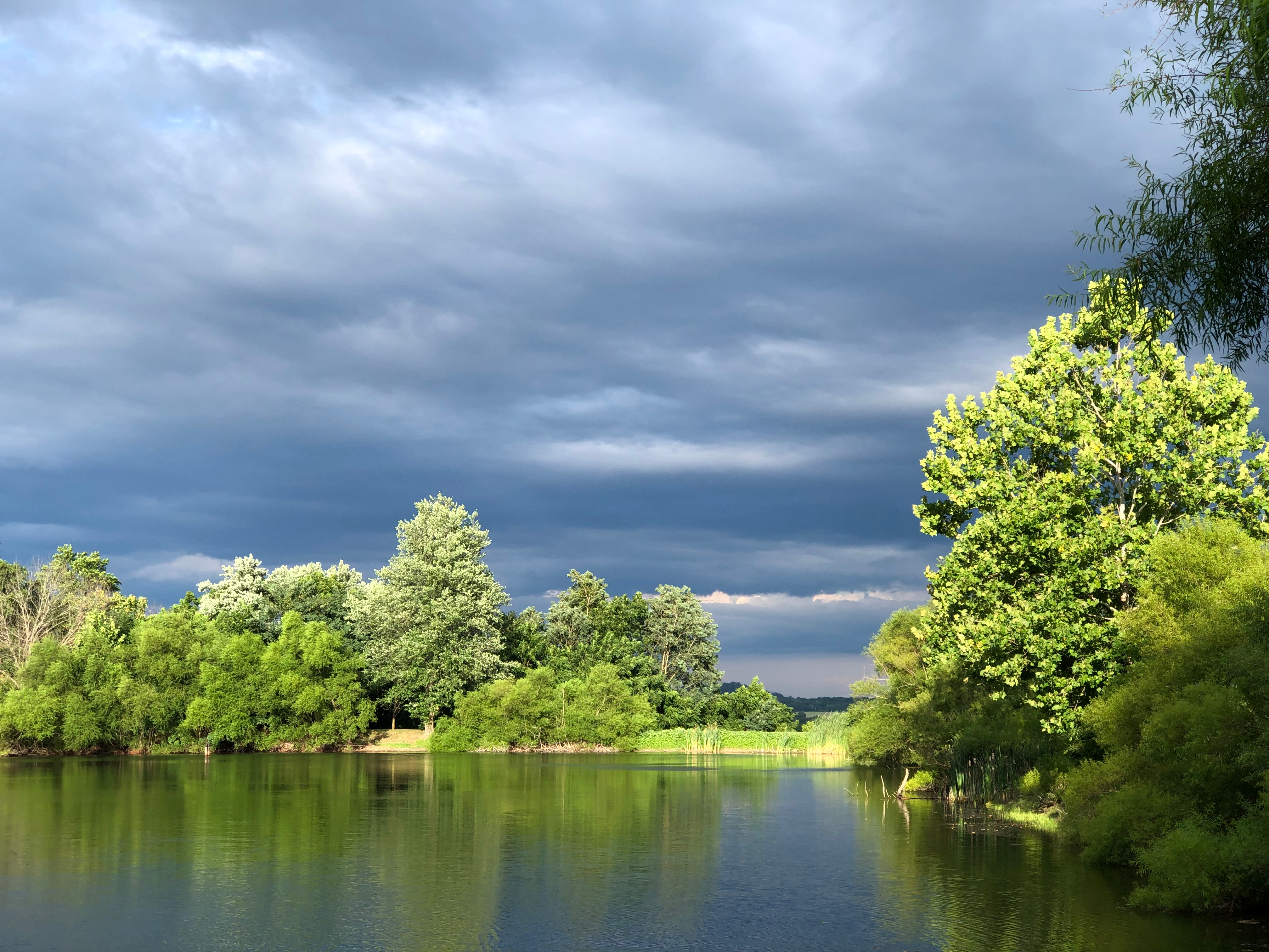 user avatar image for Sandra Reedy