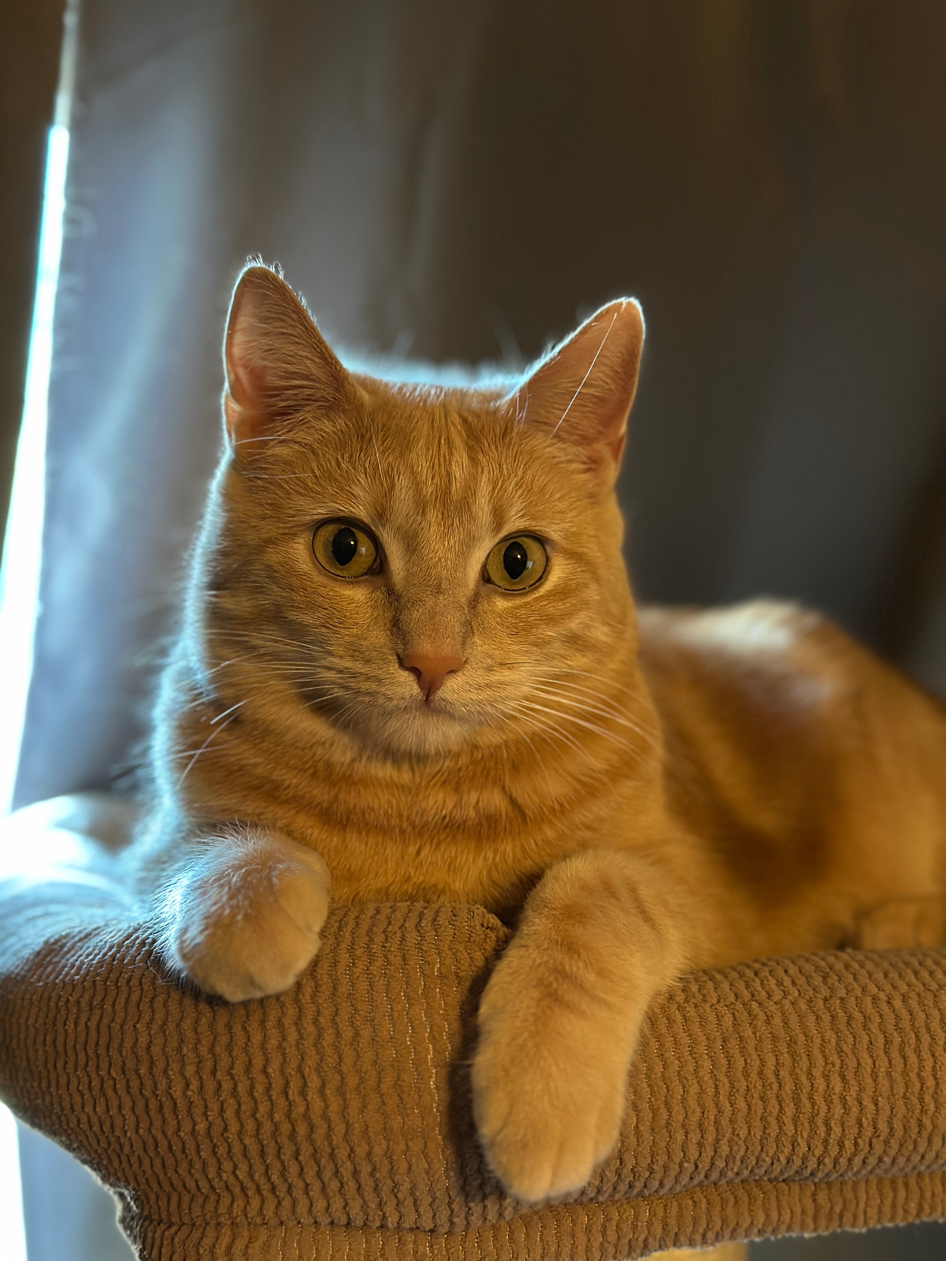 user avatar image for TarmakWorm