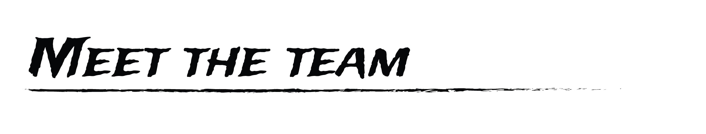 meet the team
