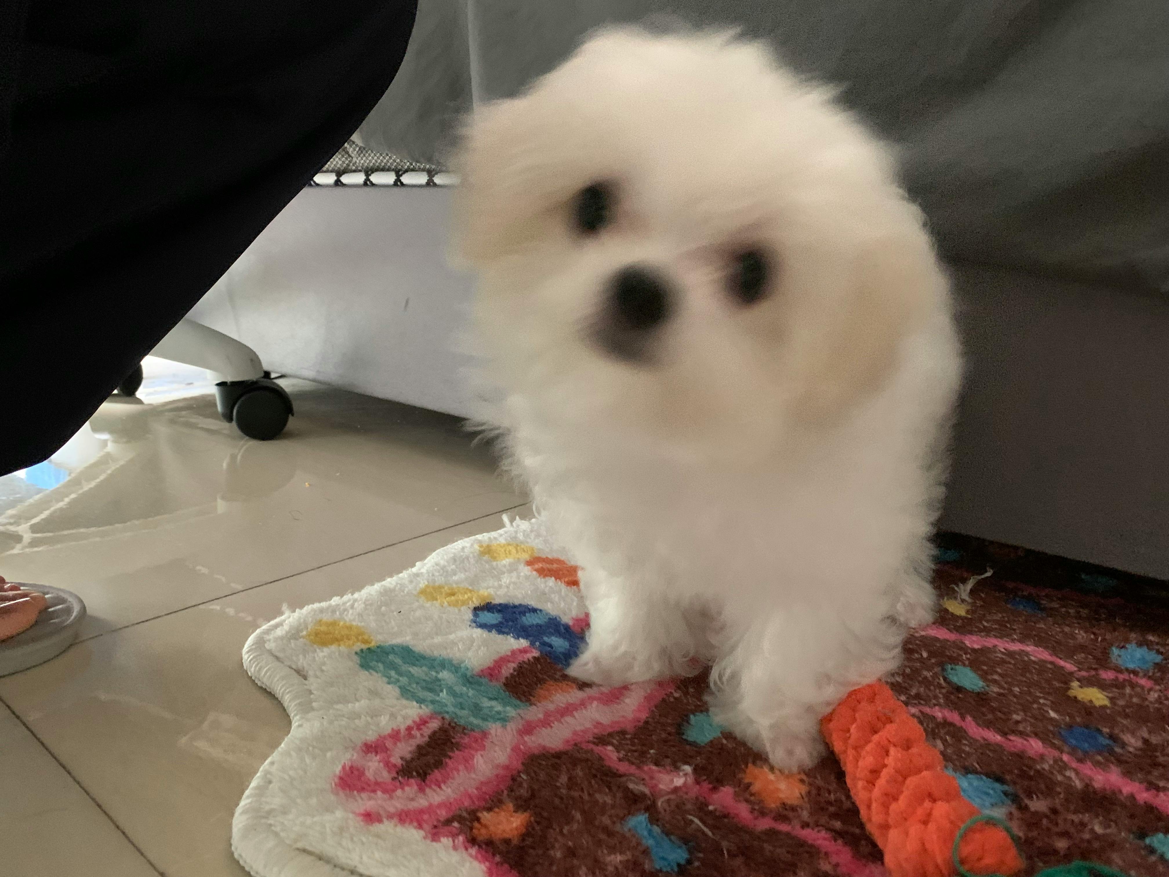 user avatar image for dfwscfgabe