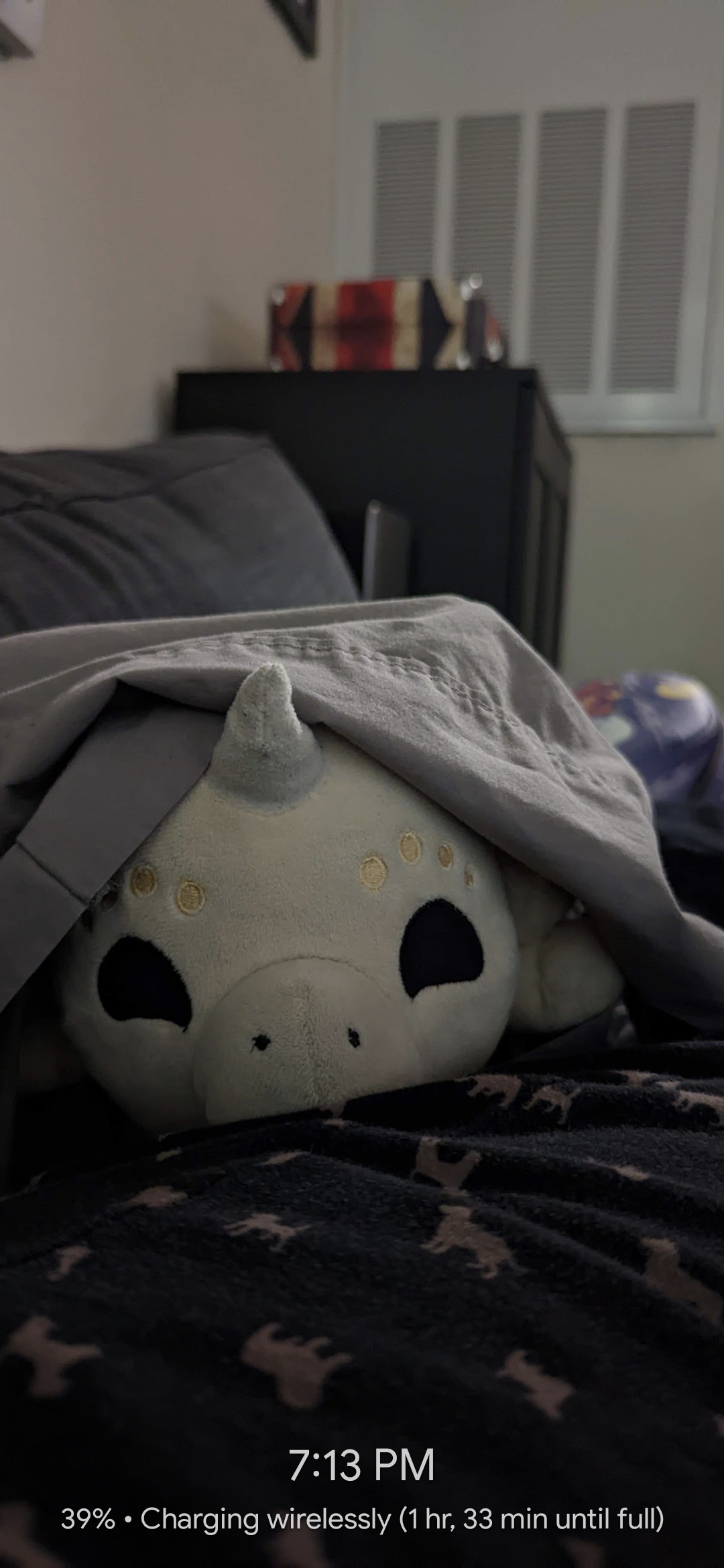 user avatar image for Teddi