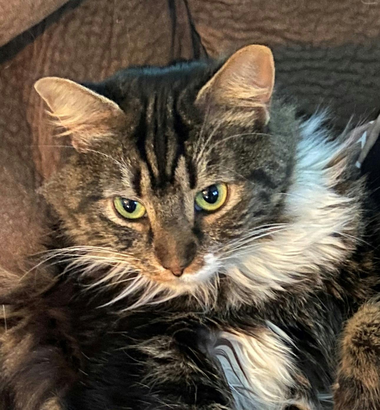 user avatar image for LeaMSW