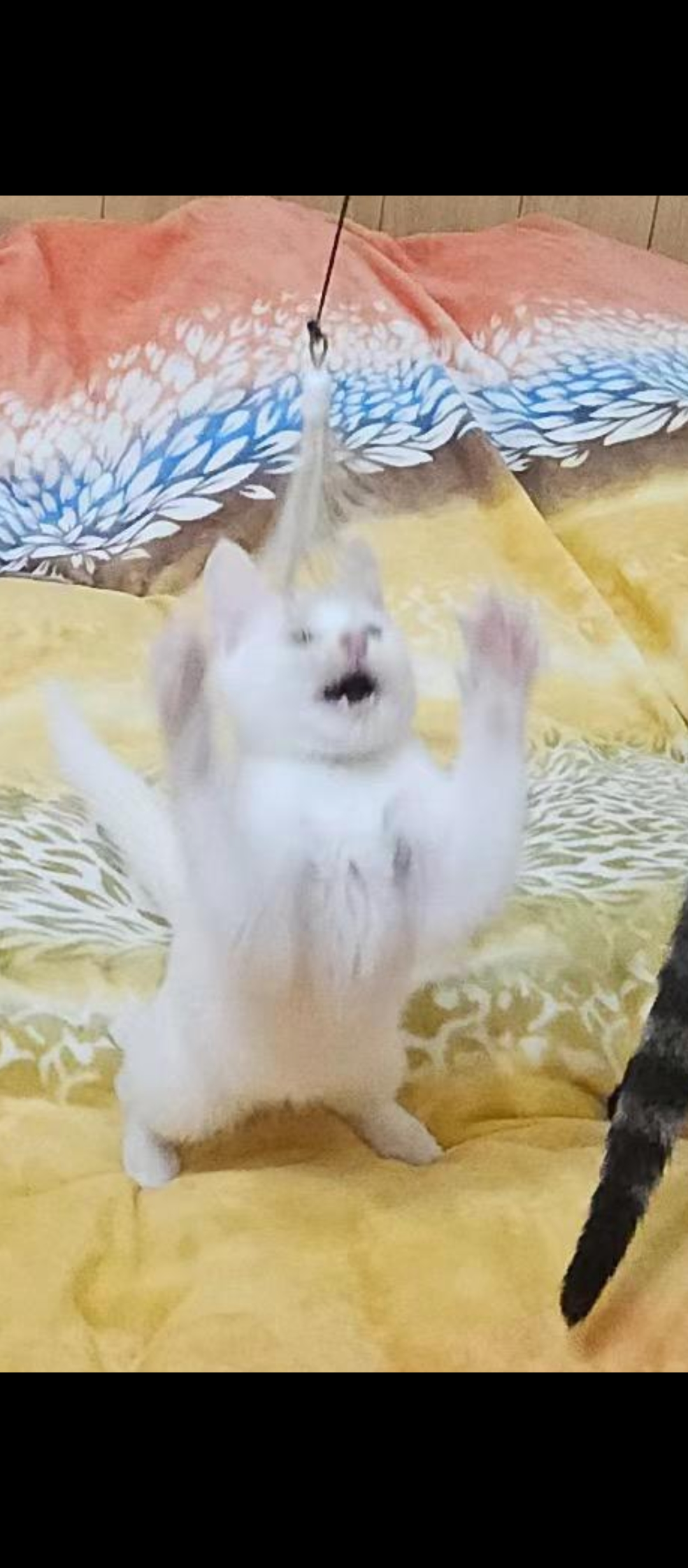 user avatar image for Andy