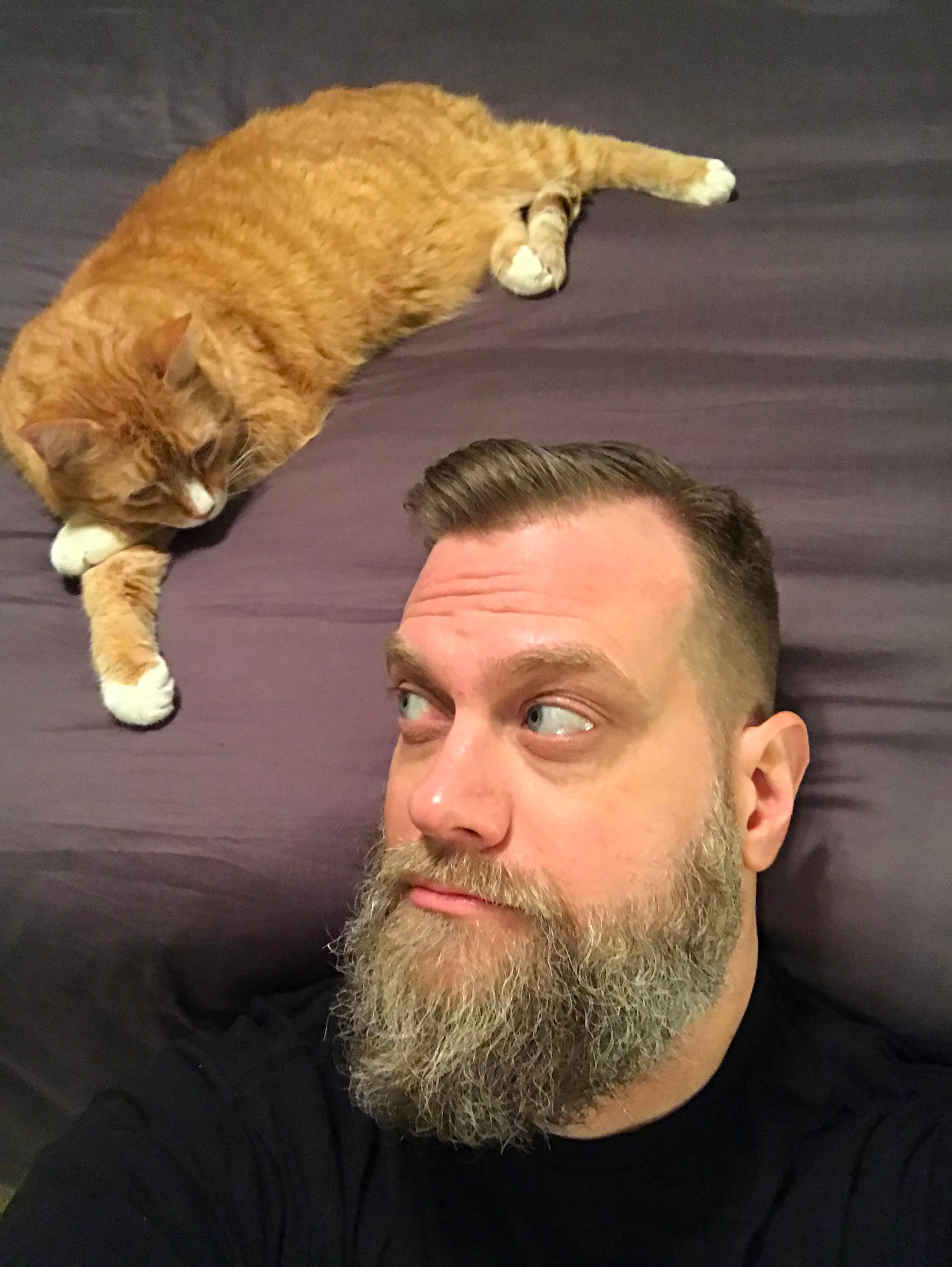 user avatar image for B