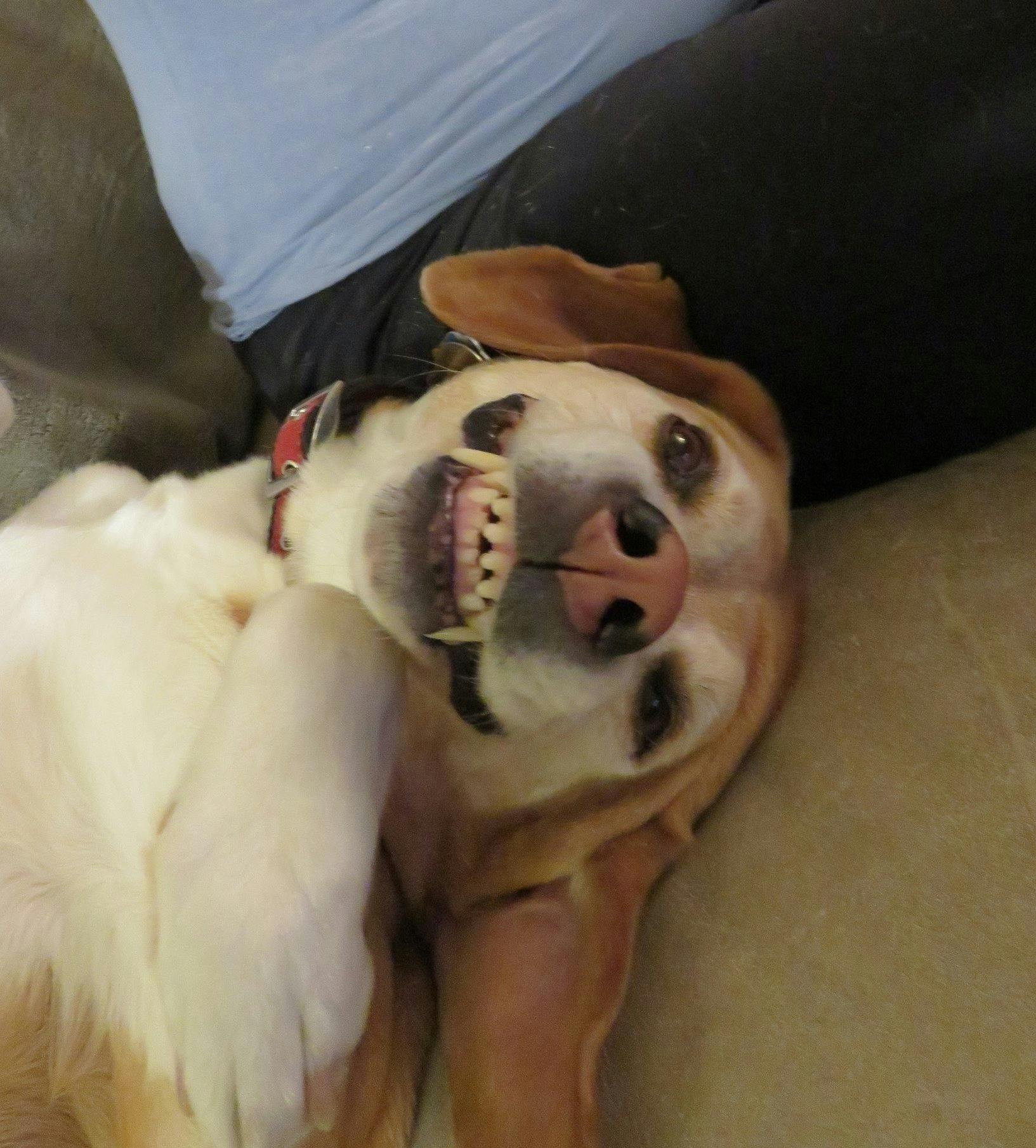 user avatar image for TAMN