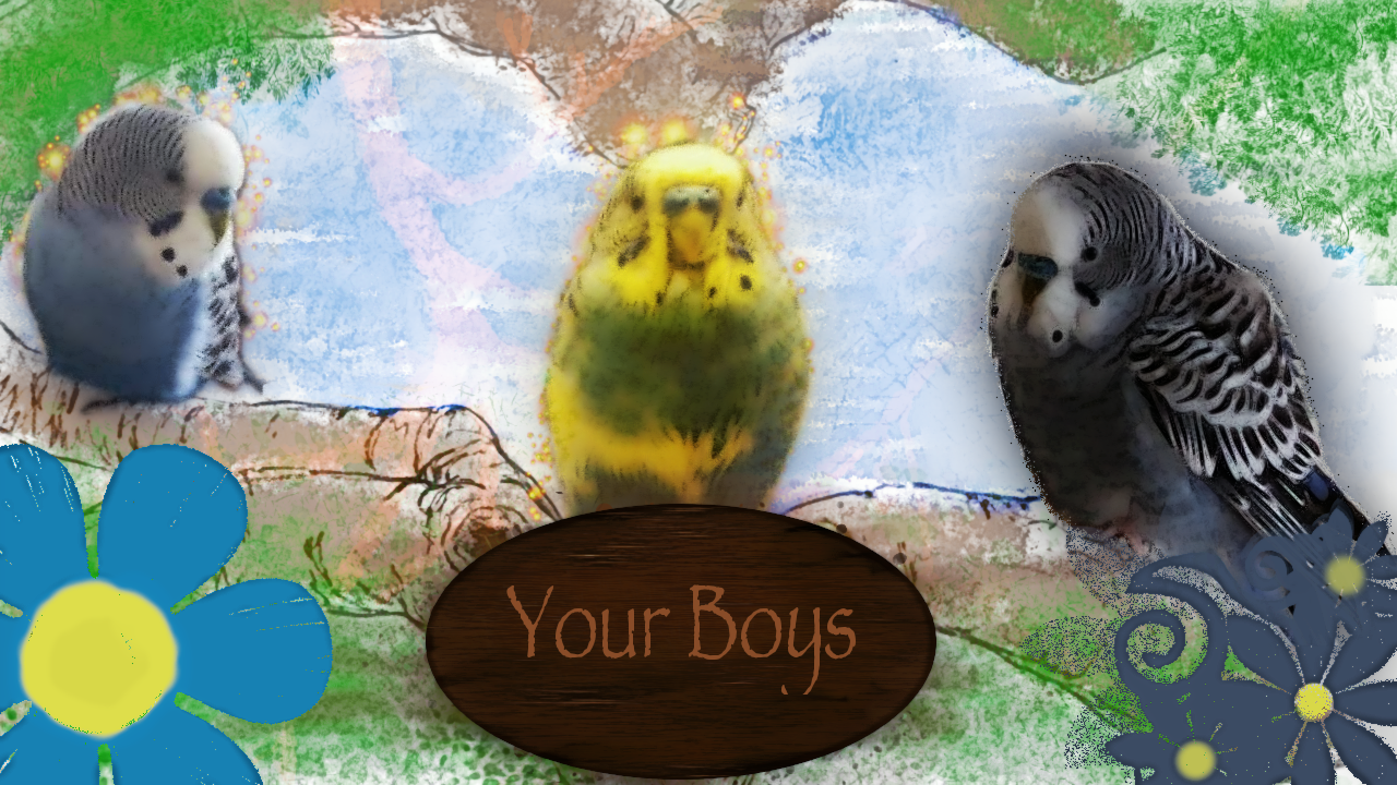 user avatar image for patti devlin