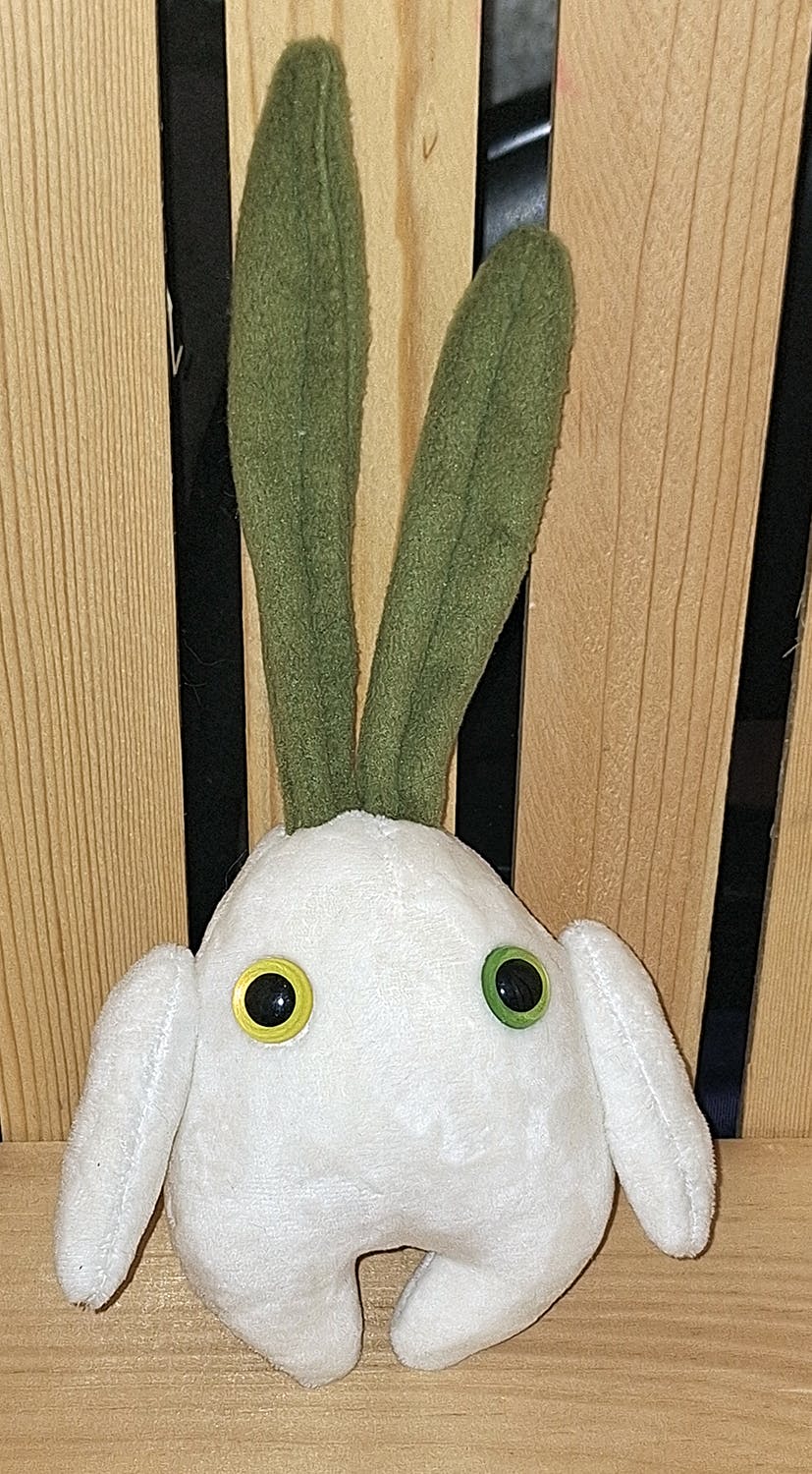 Onion Mandrake - Large Size