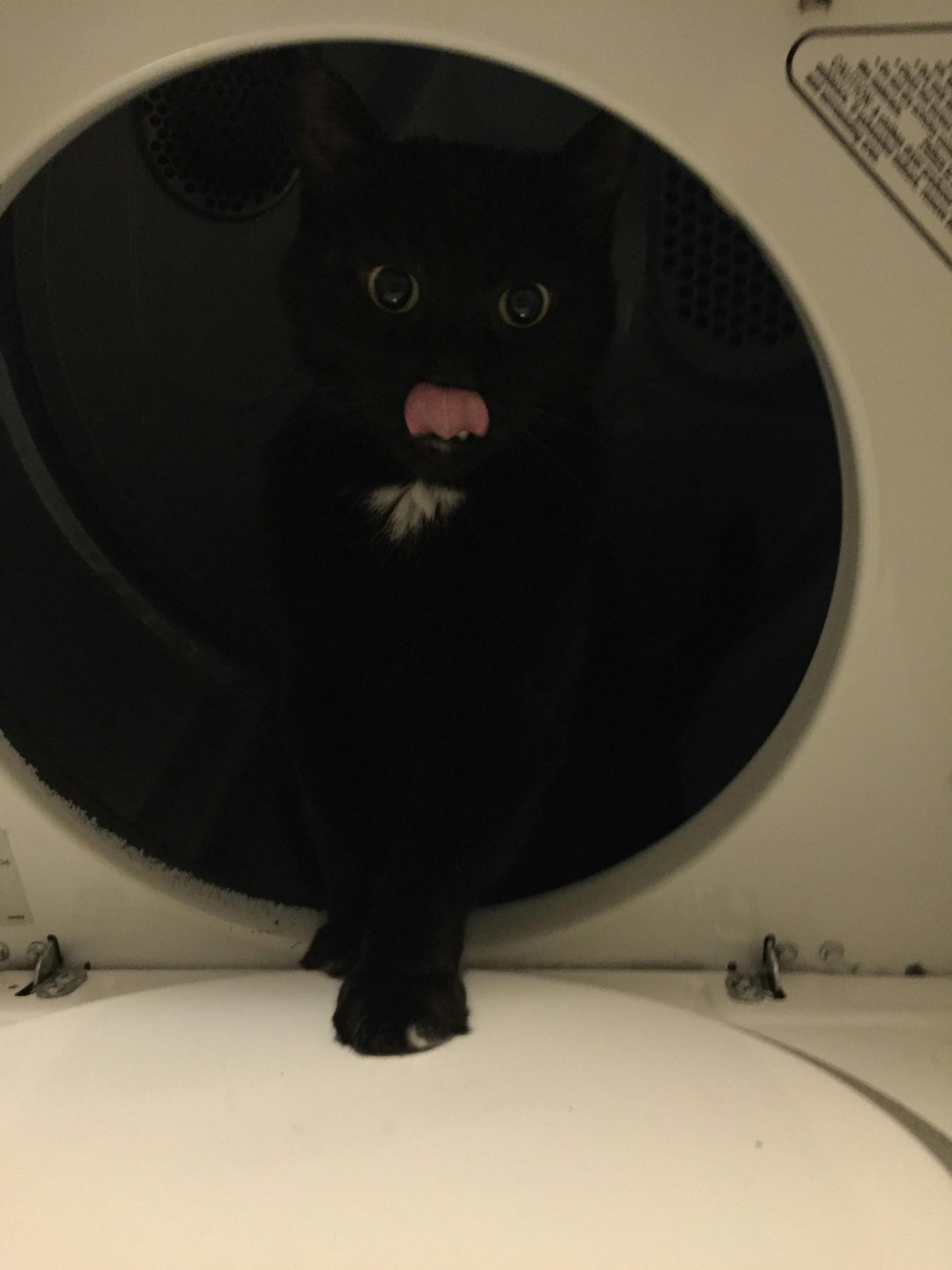 user avatar image for Brandy Swan