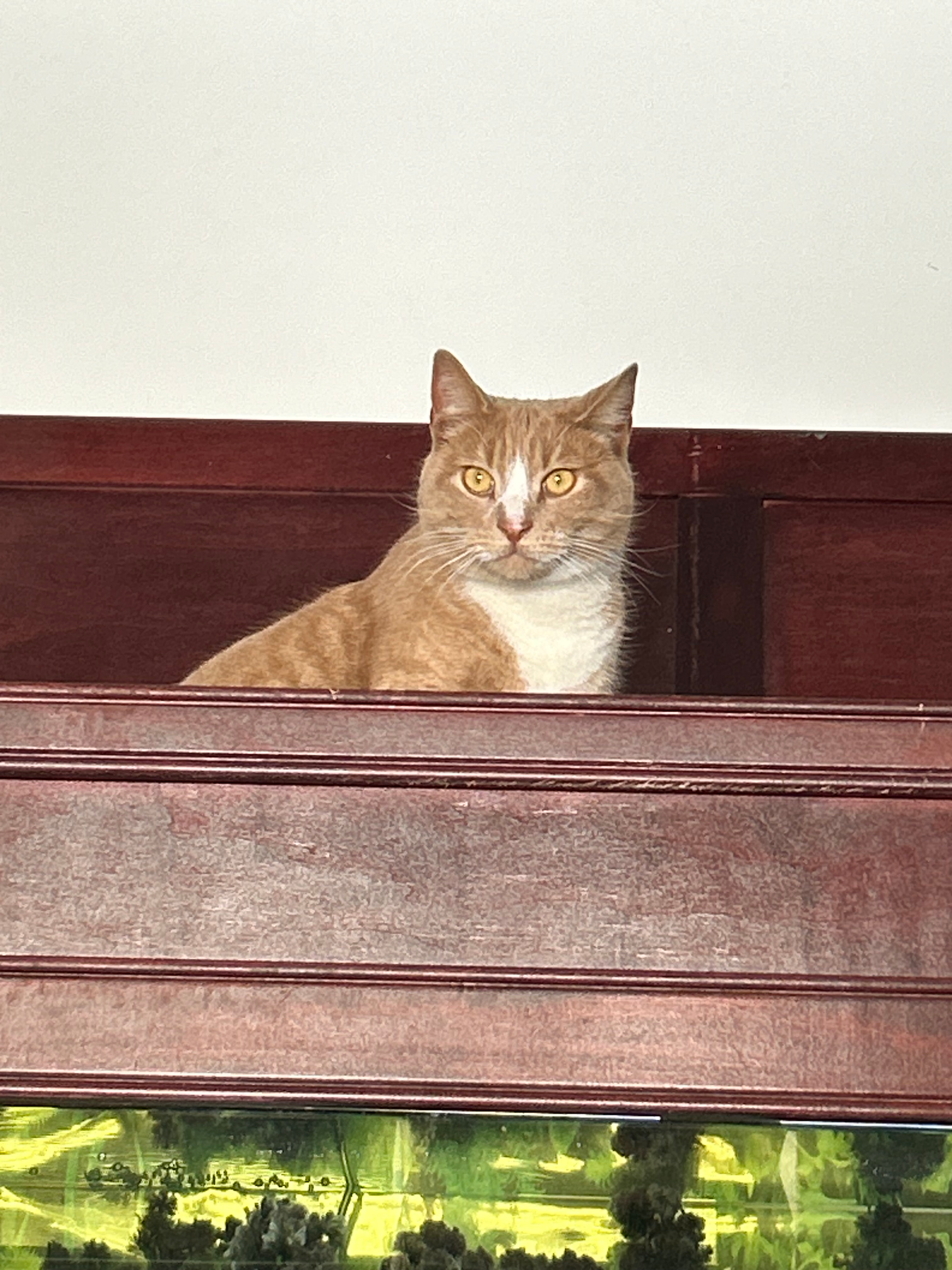 user avatar image for Maura Johnson