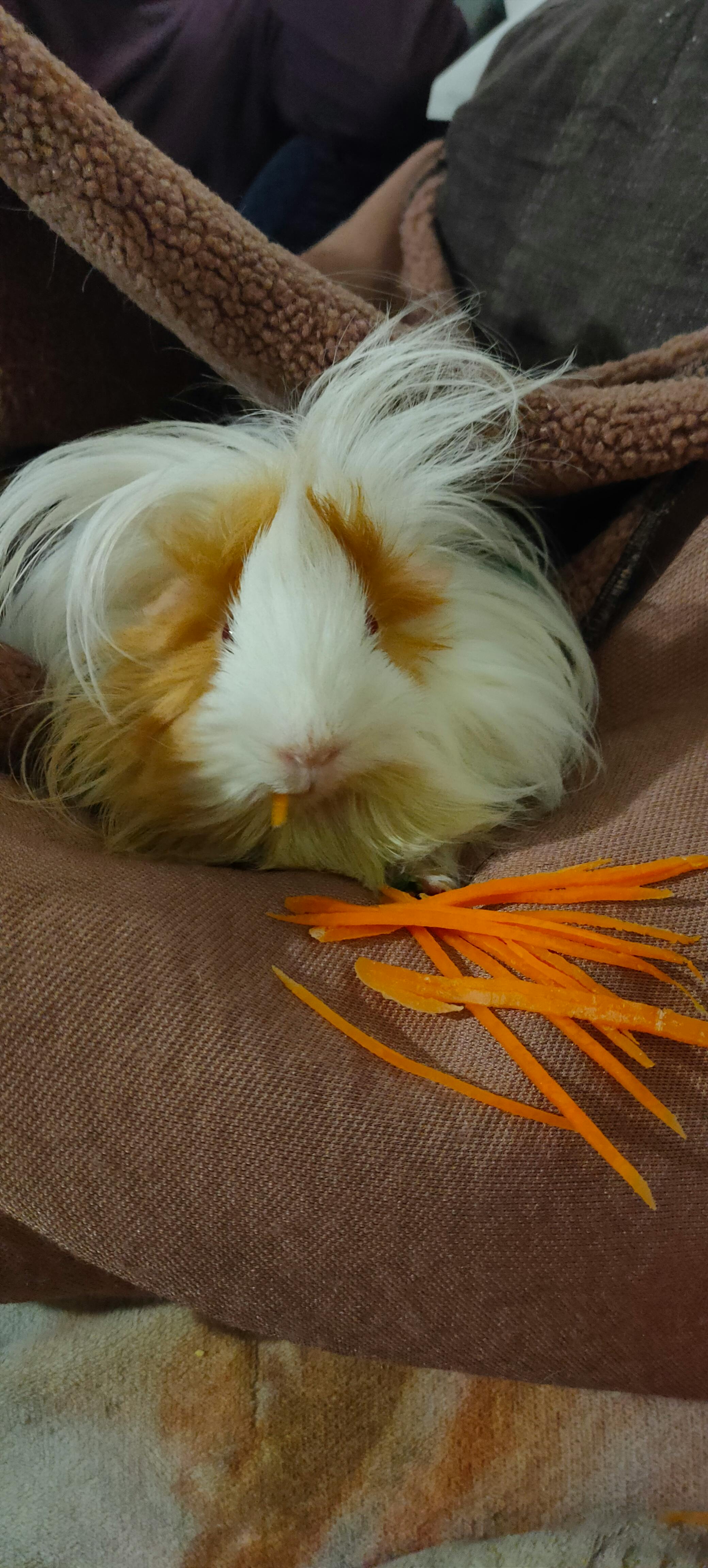 user avatar image for Tash