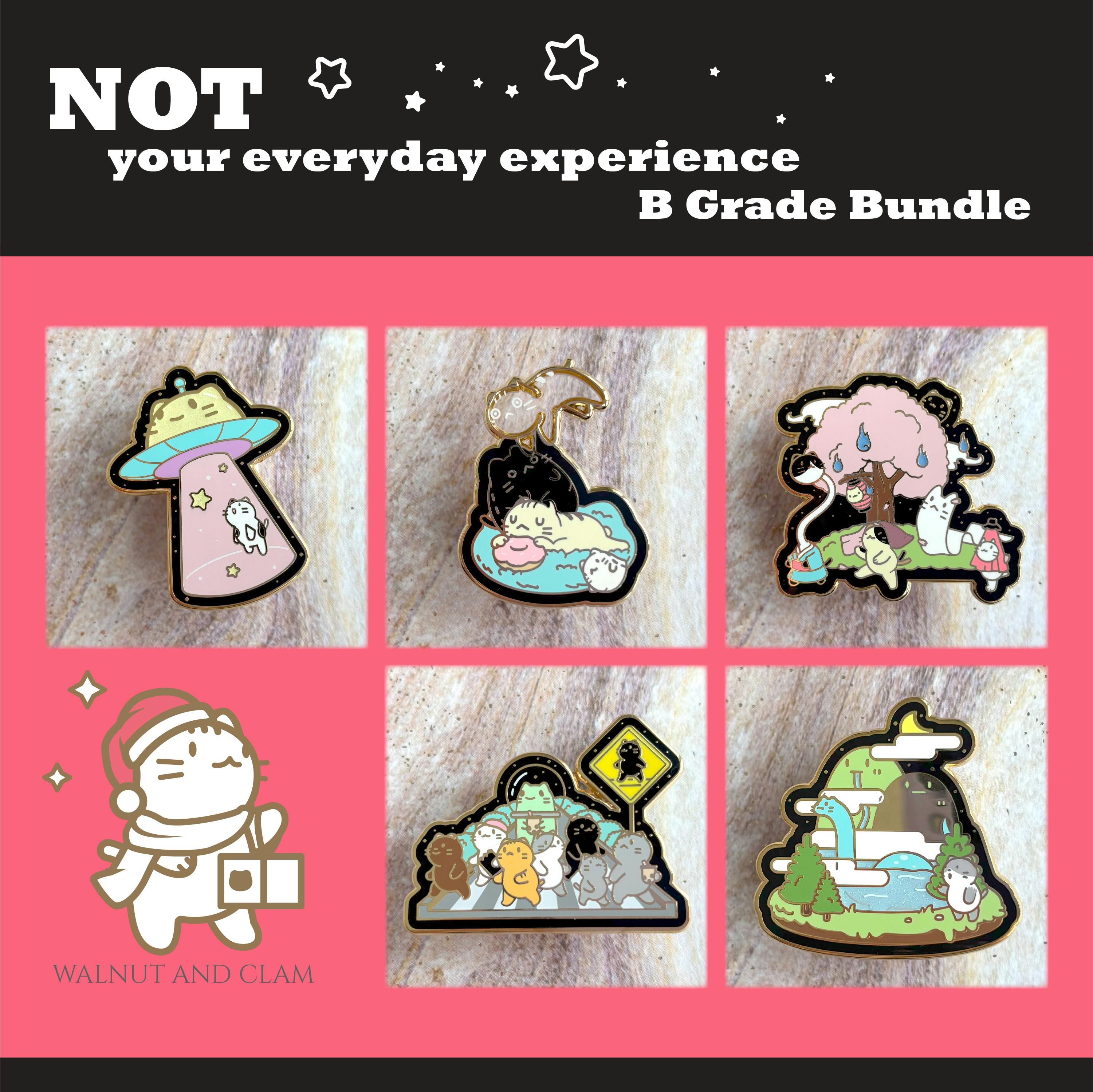 Not Your Everyday Experience Hard Enamel Pin B Grade Bundle