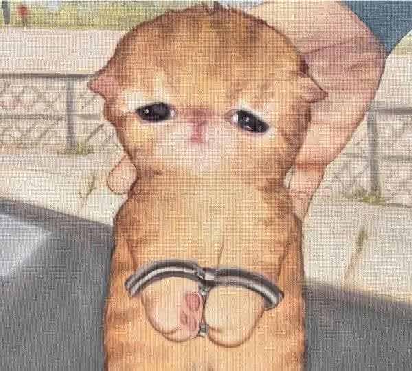 user avatar image for The ugly barnacle 