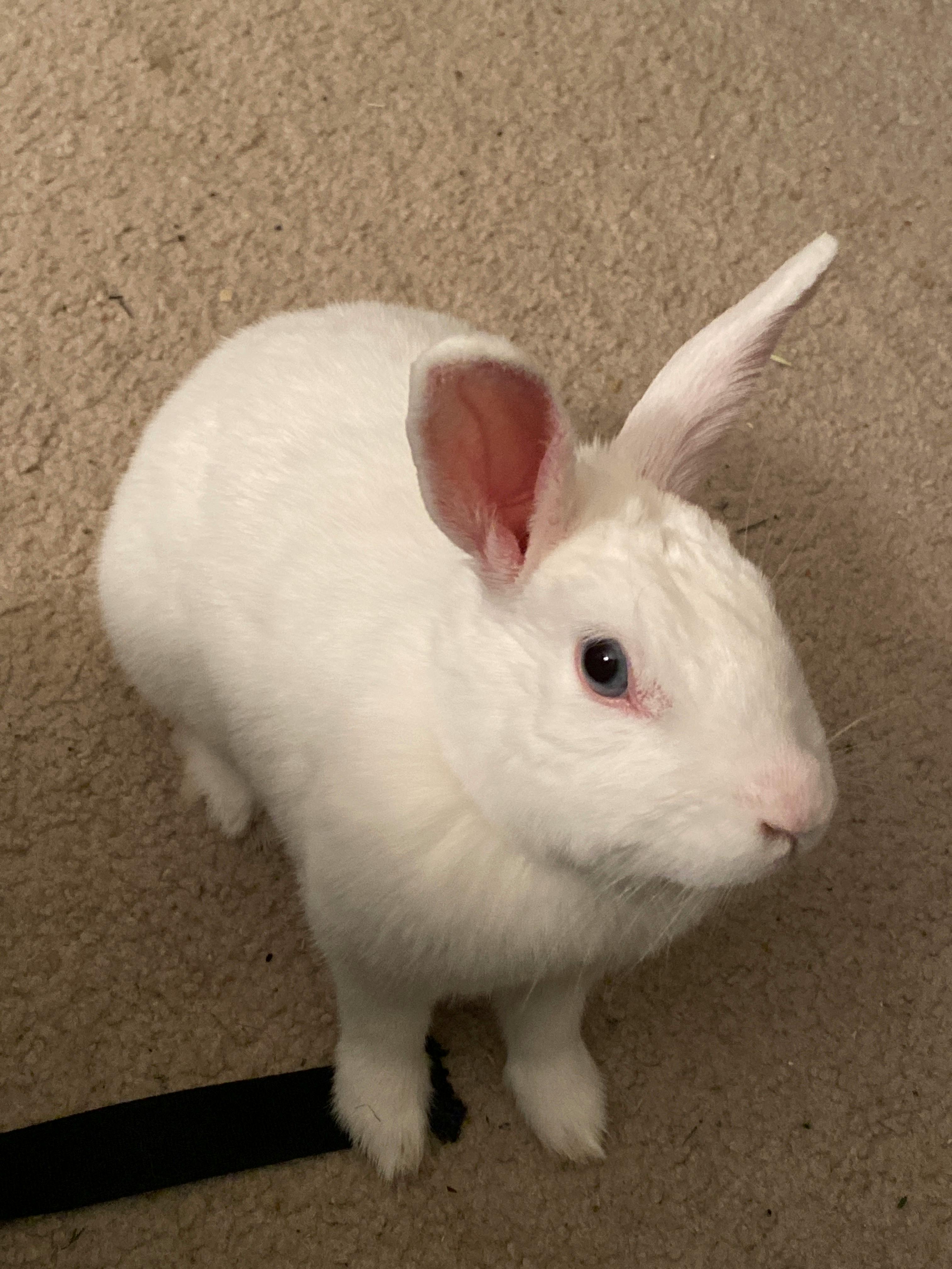 user avatar image for Writers Block