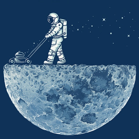user avatar image for In[X]