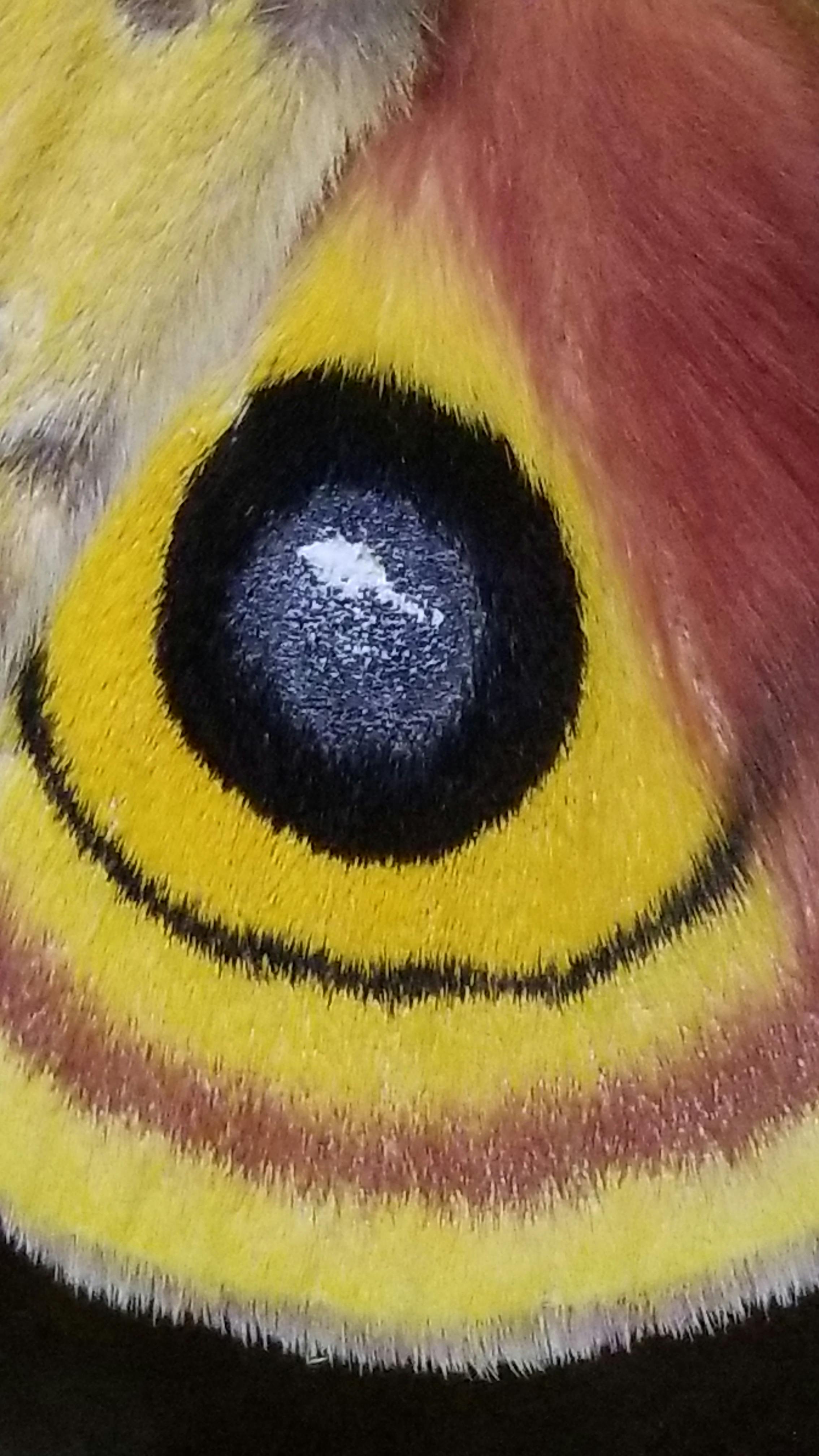 user avatar image for Anthony Childs