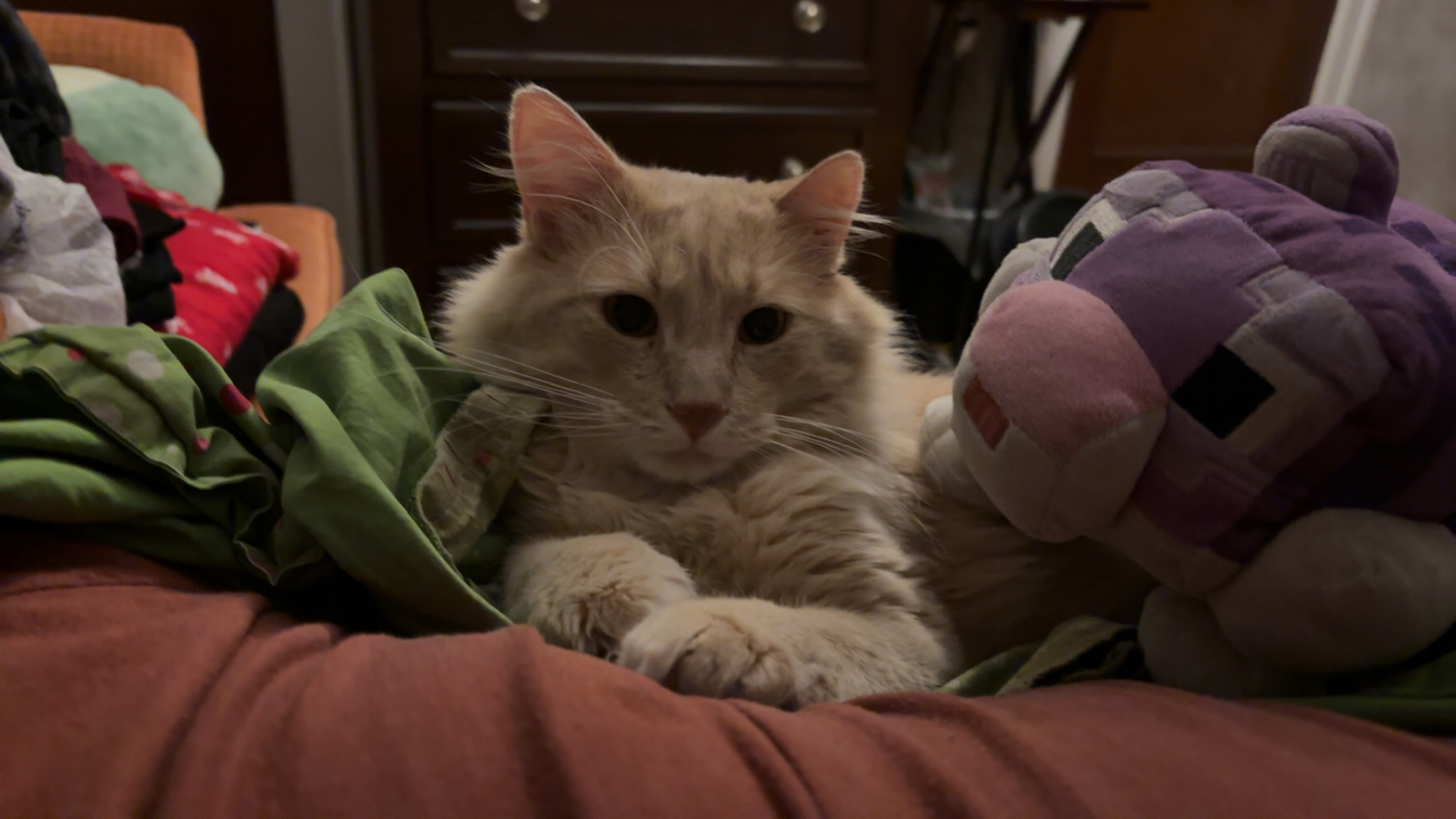 user avatar image for Robin