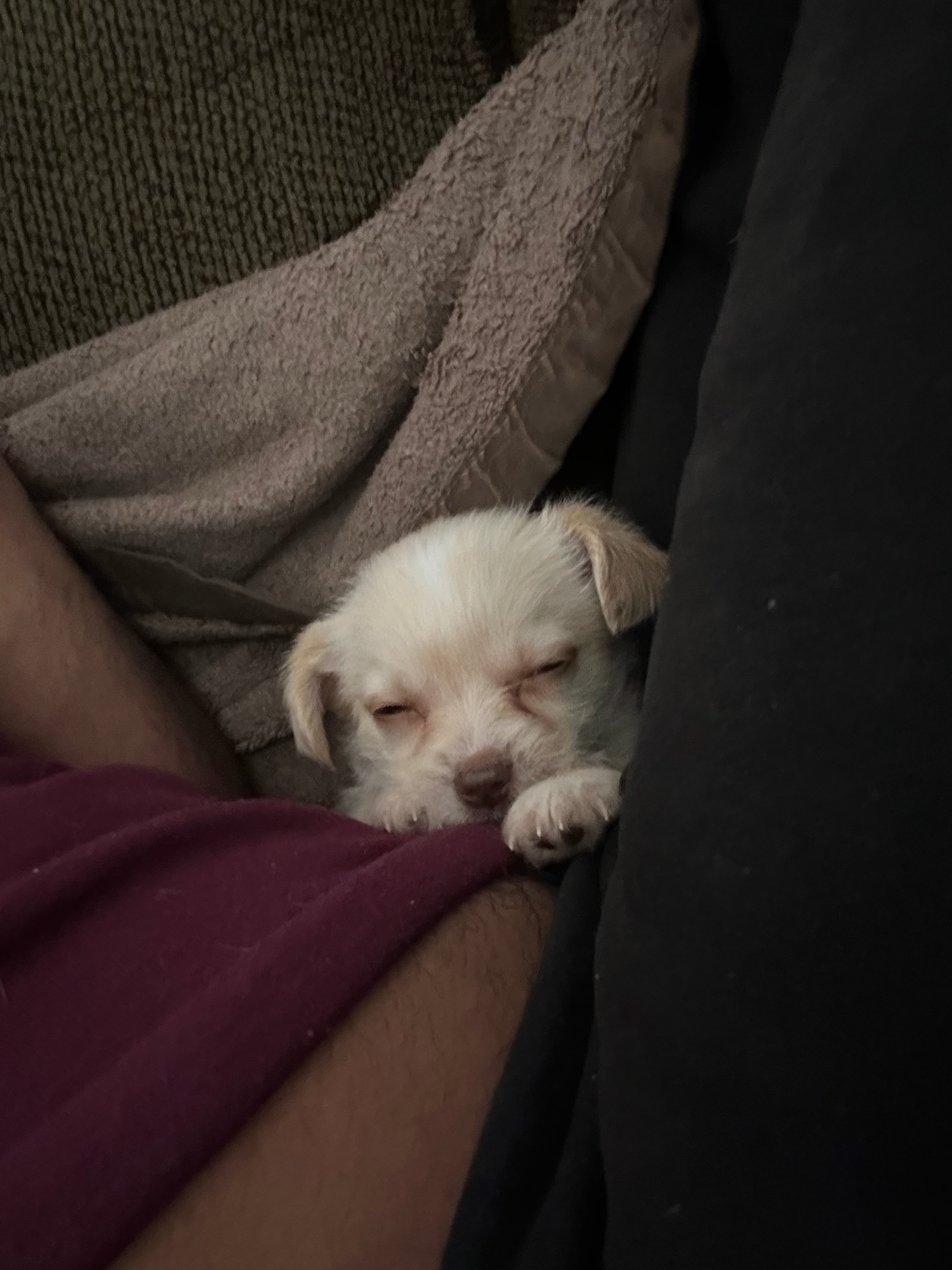 user avatar image for KrakenRG