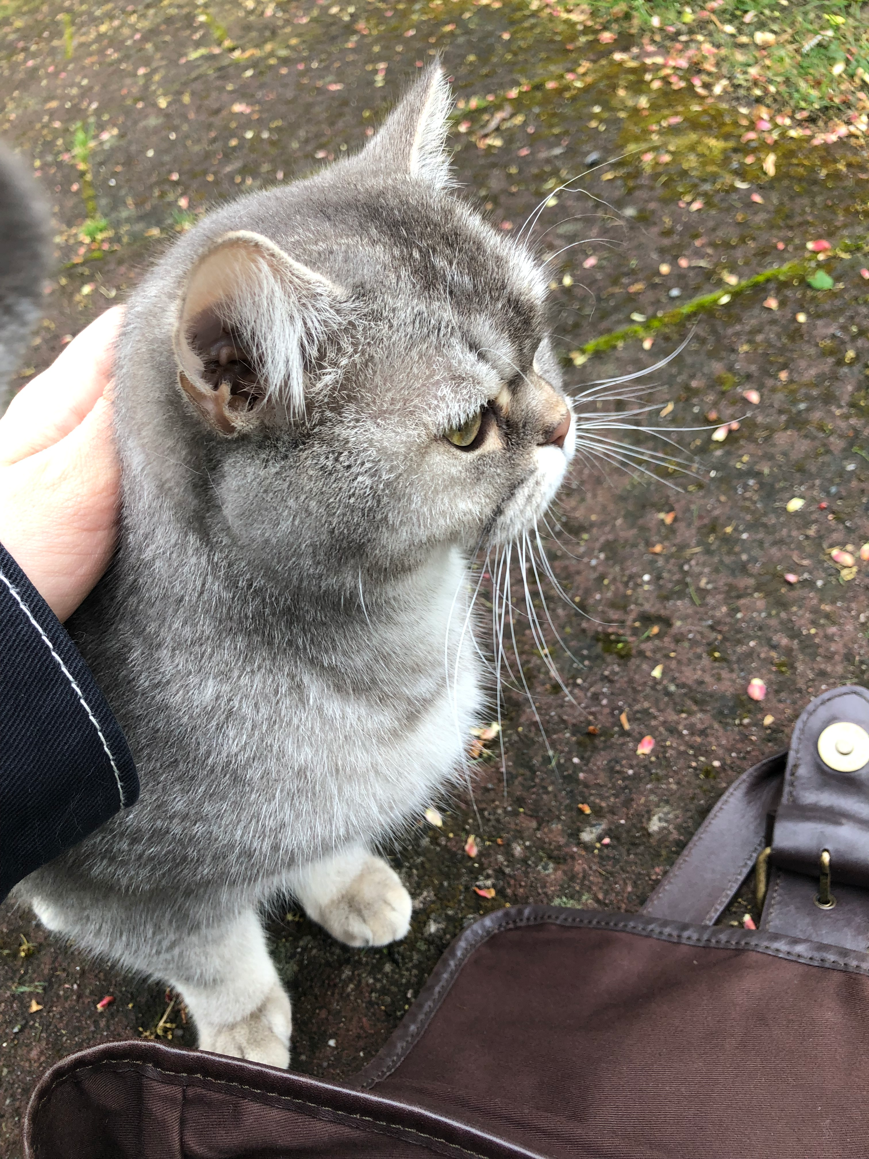 user avatar image for Mara