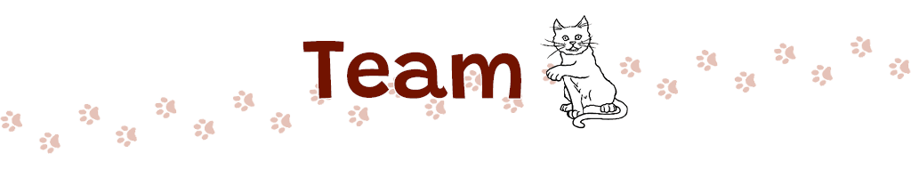 Team. A cat sits next to the title with it paw reaching up towards it. A track of cat paw prints stretches across the page.