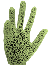 user avatar image for Axo3D