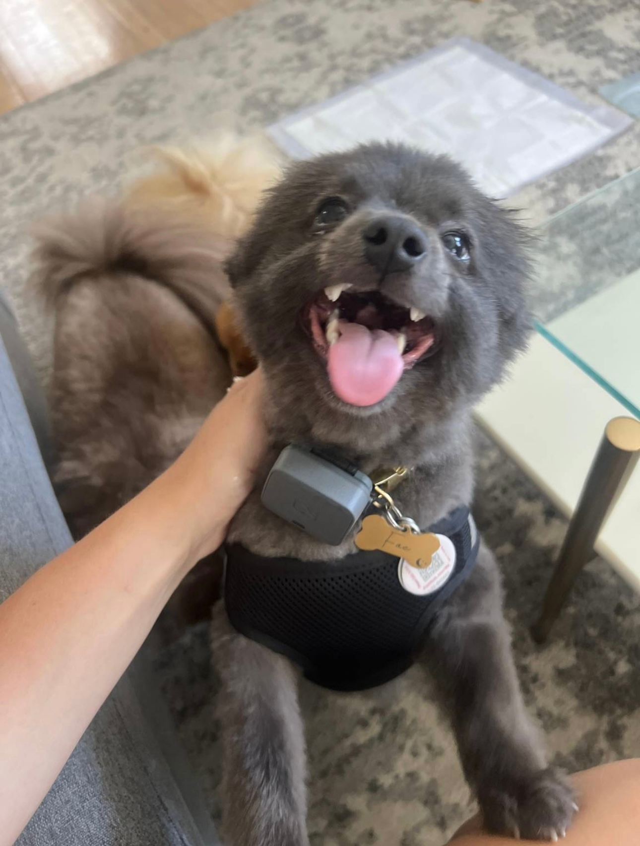 user avatar image for Diana Neno