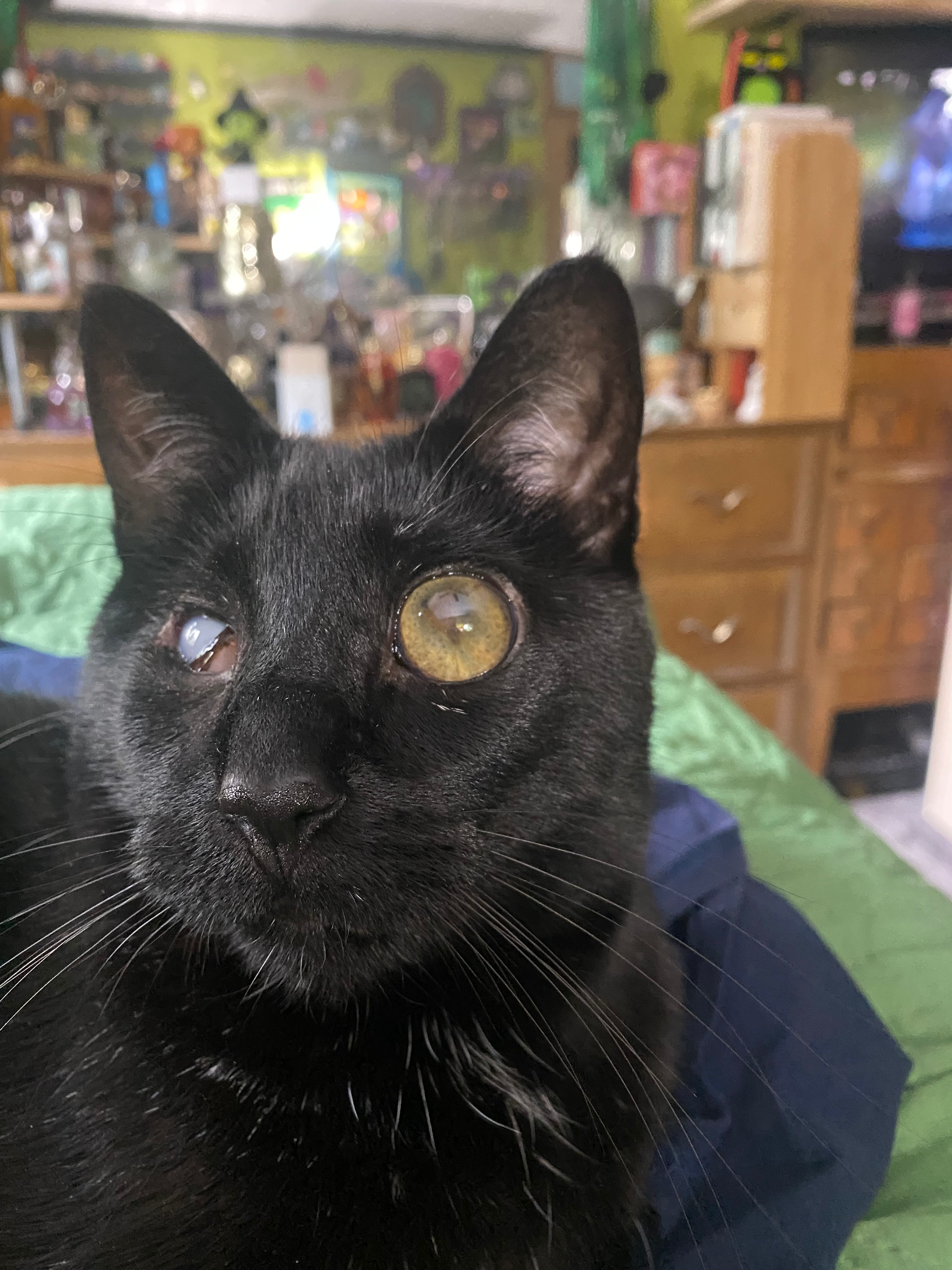 user avatar image for Kat VanZweden 