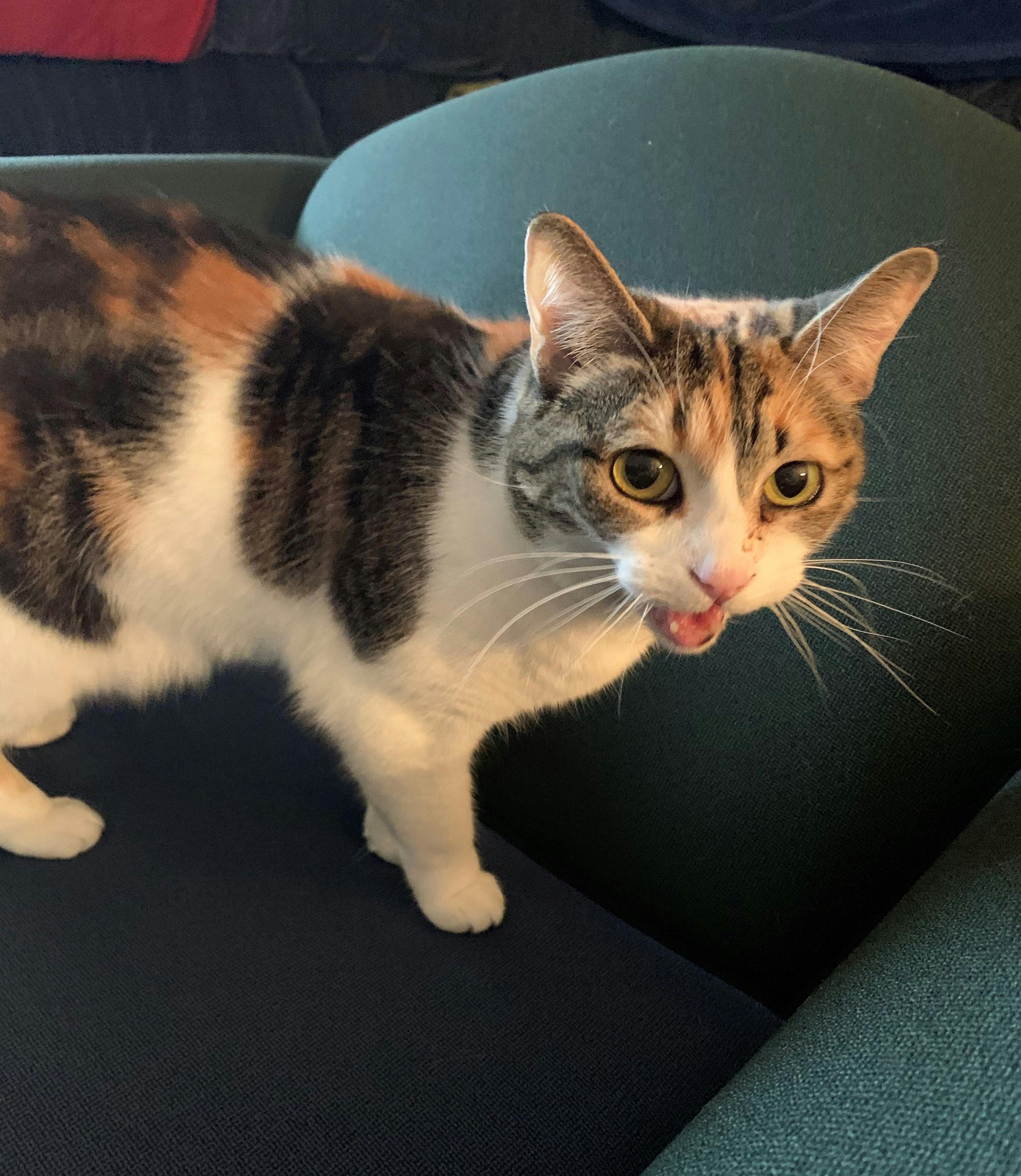 user avatar image for EqupKilt