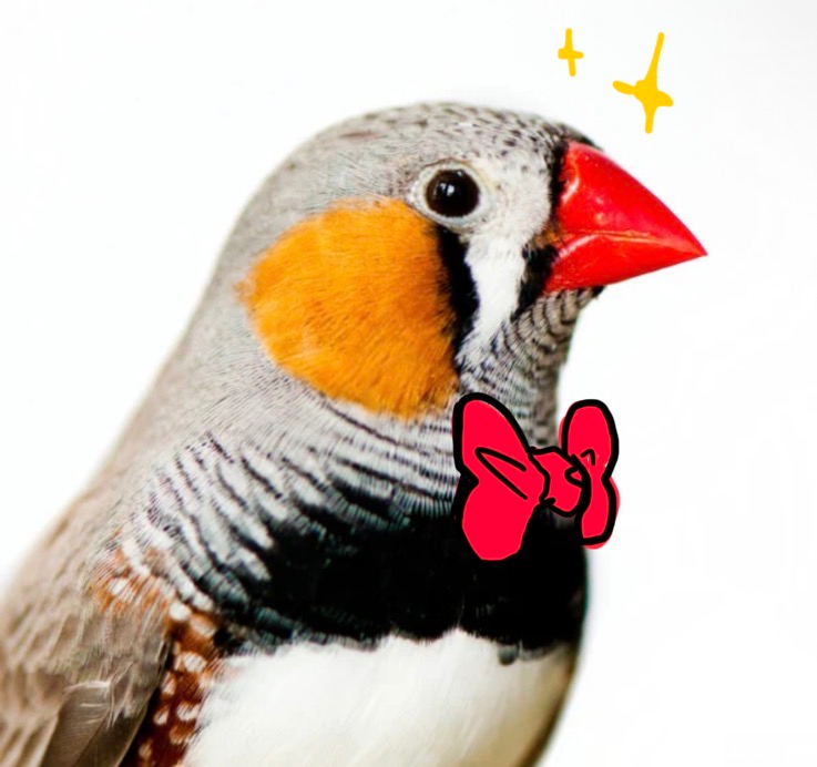 user avatar image for Julian Swartz
