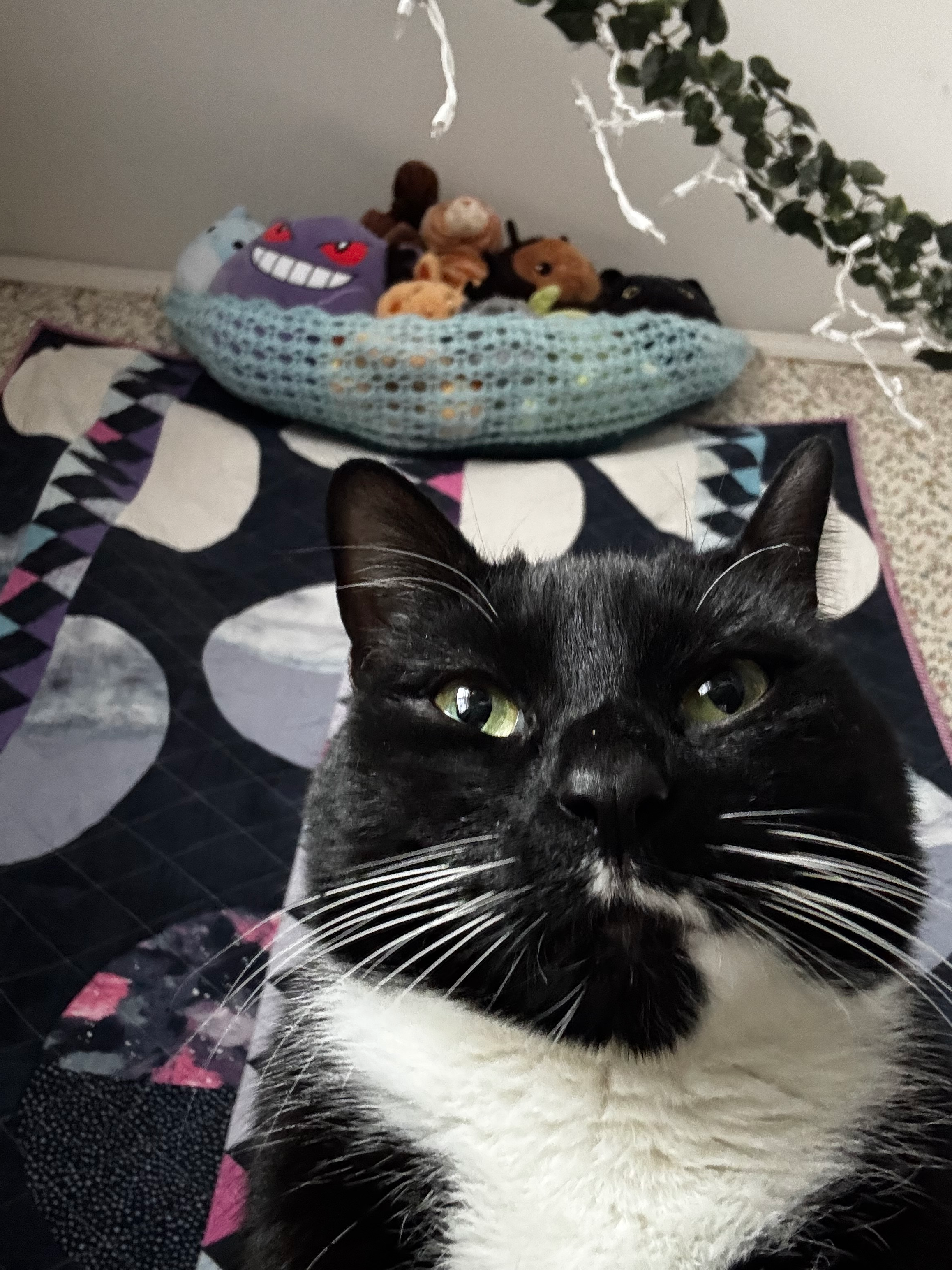 user avatar image for Ginger Maley