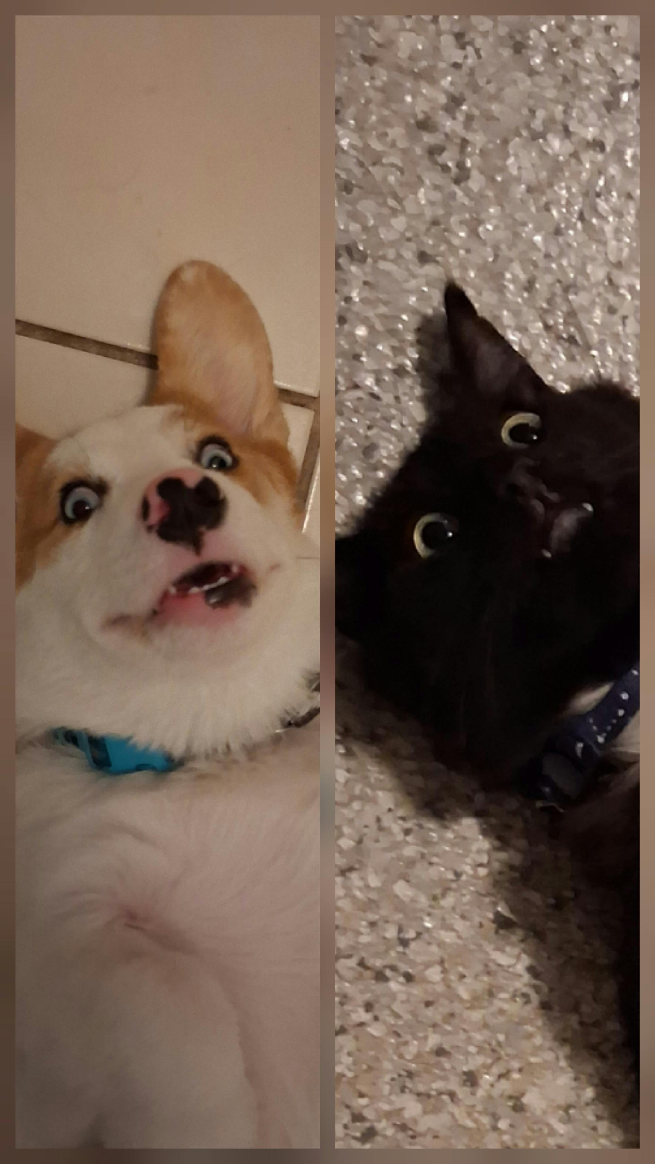 user avatar image for Alyssa 