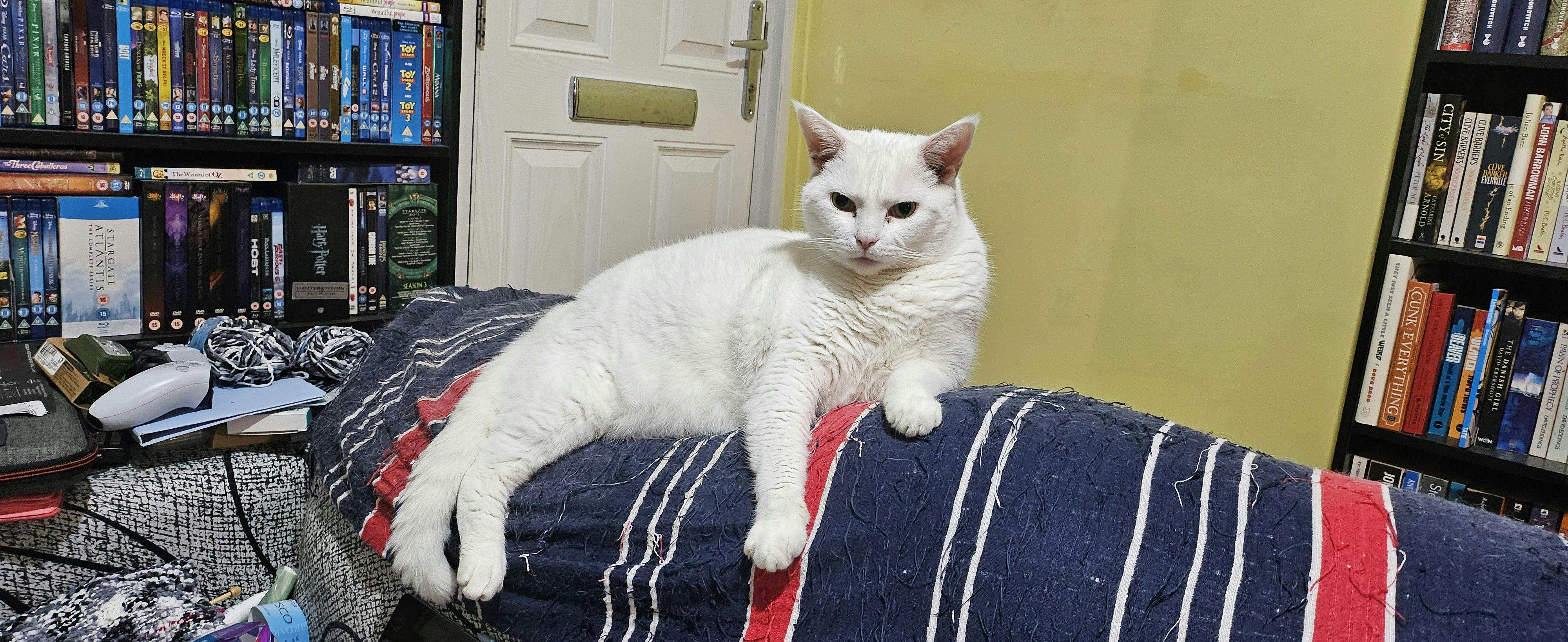 user avatar image for Tony Rooke