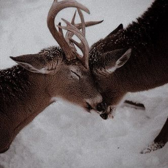 user avatar image for Tristan