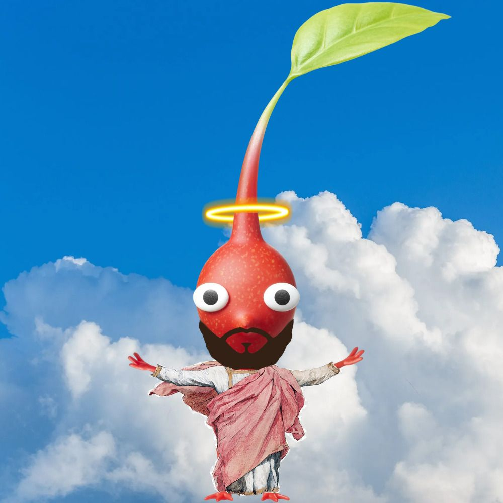 user avatar image for Ludo Ergo Fero