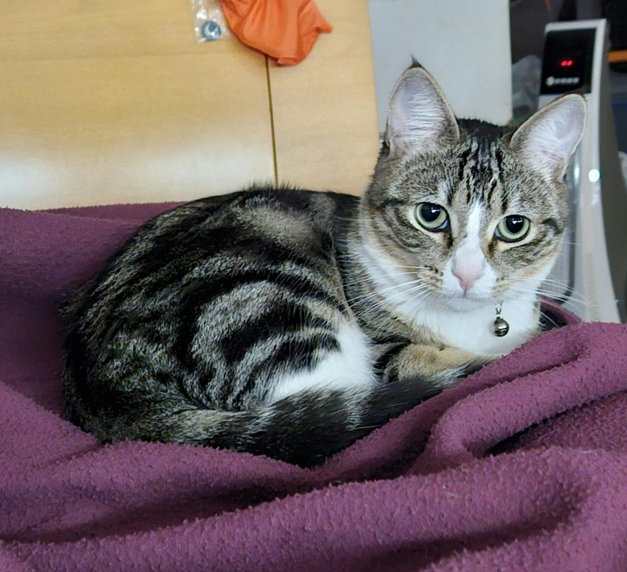 user avatar image for Aaron