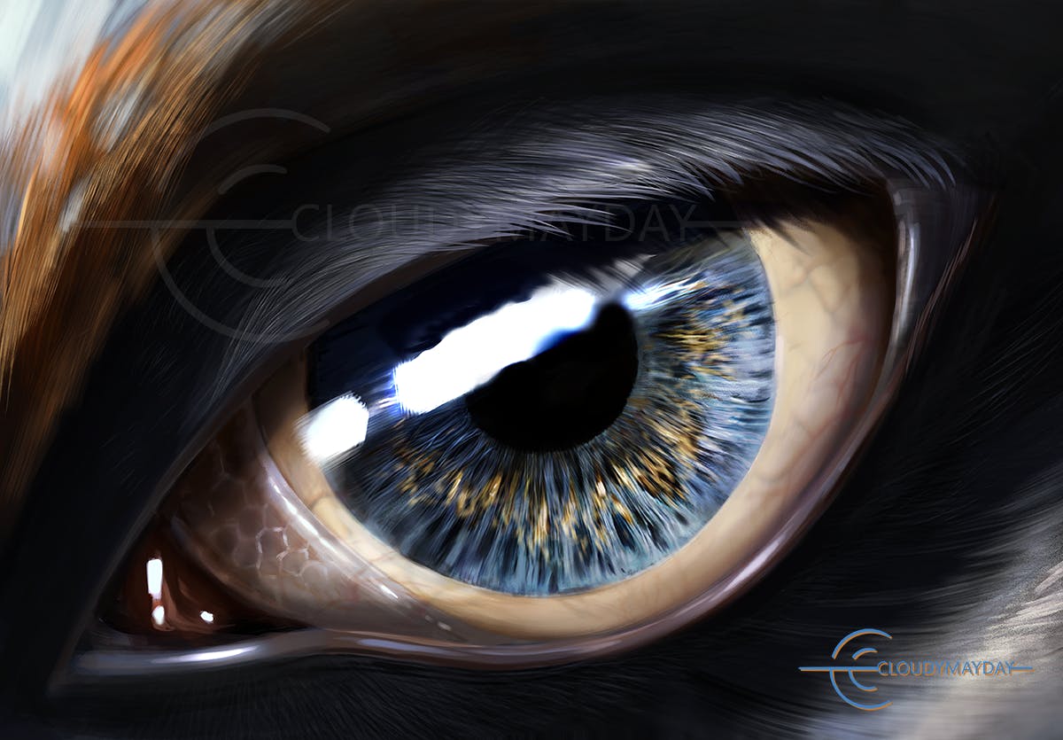 user avatar image for Anpumes