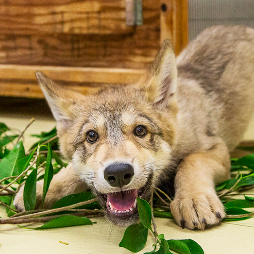 user avatar image for asdingfs