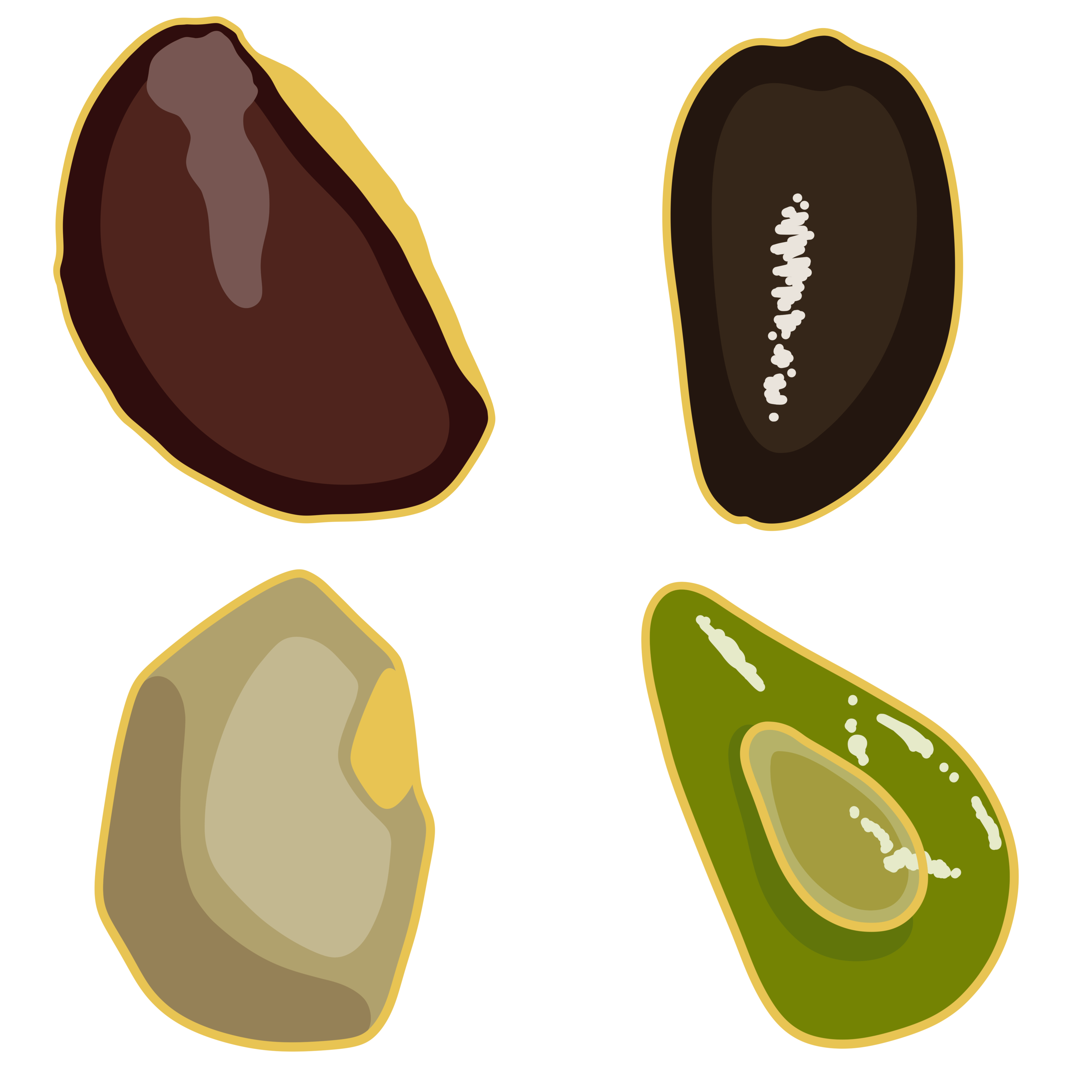 Seed Bomb