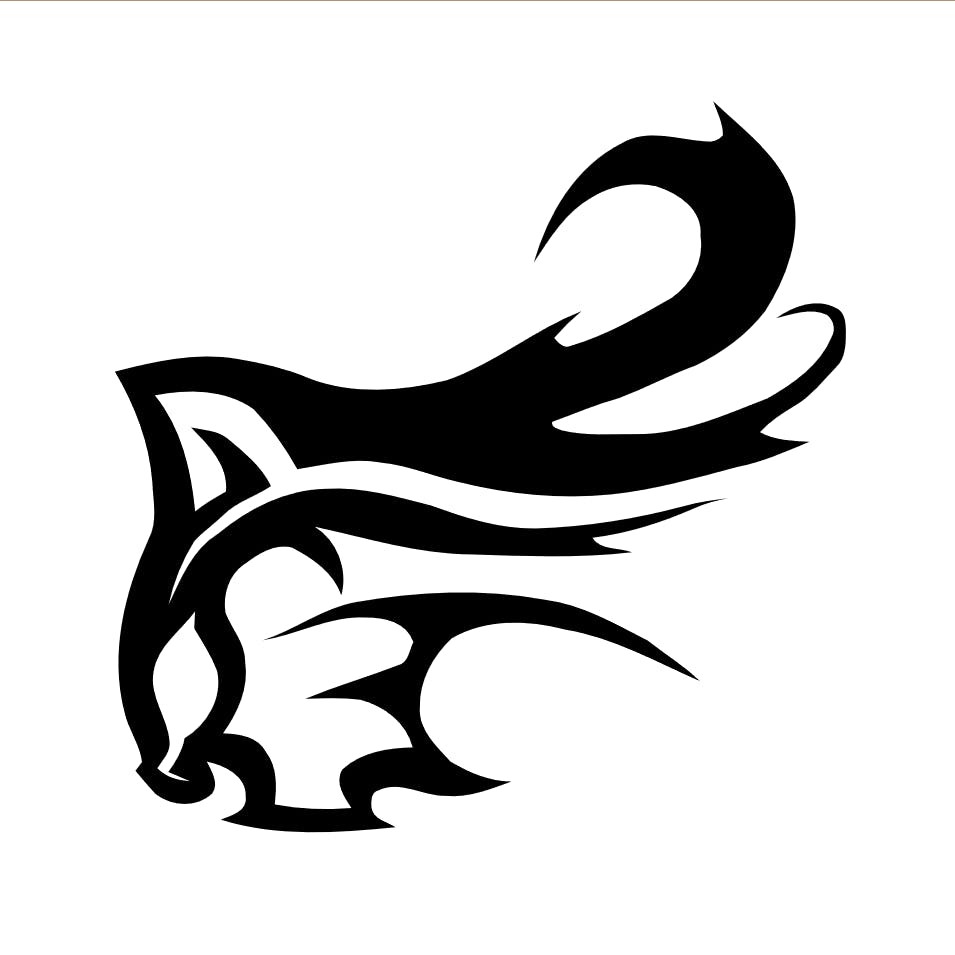 user avatar image for Carighan Maconar